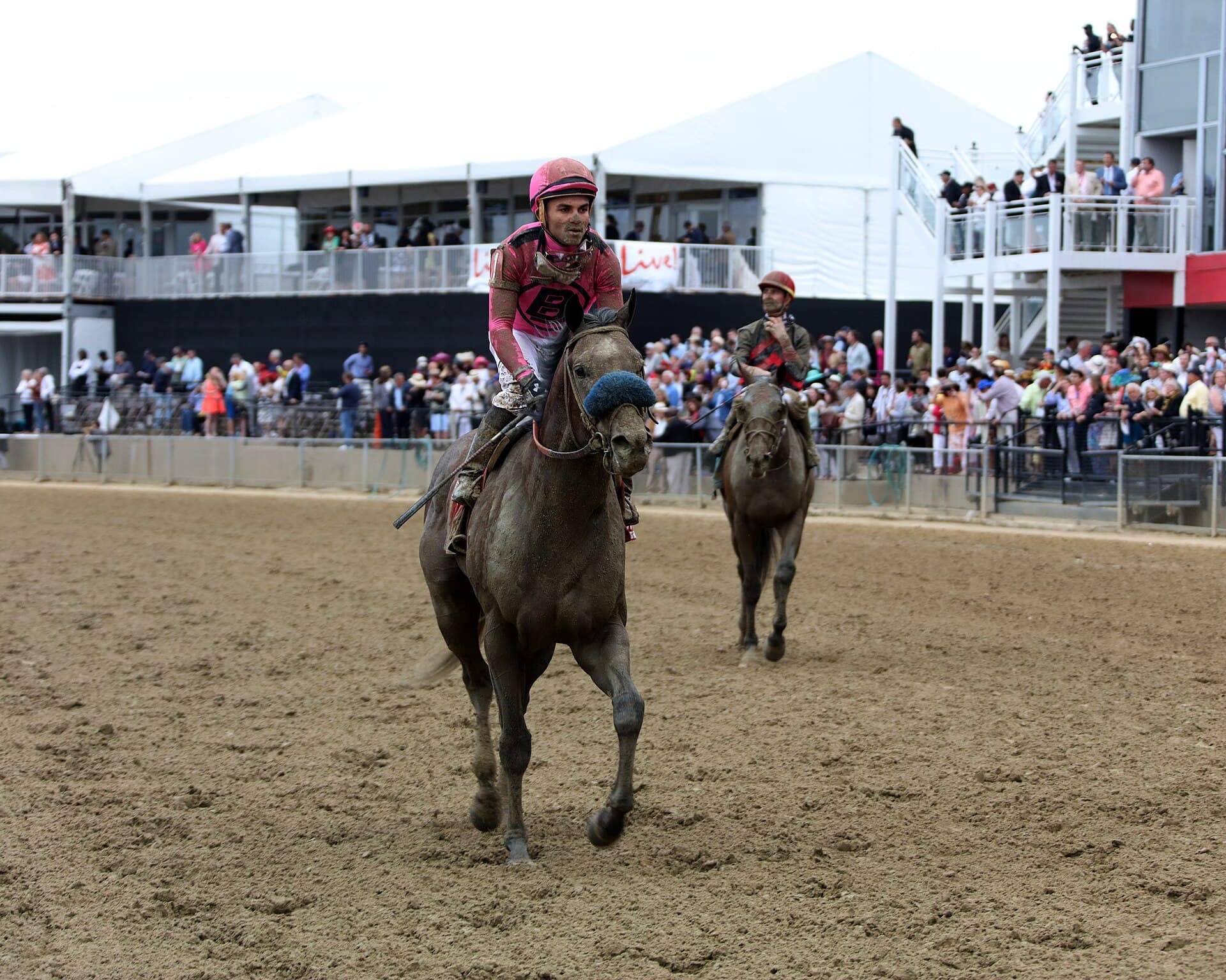 Pimlico Race Course — Wikimedia Commons