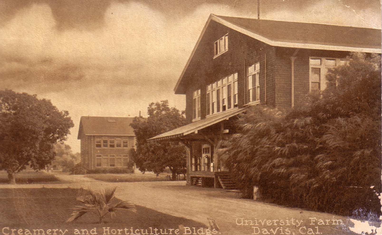 UC Davis — Wikimedia Commons