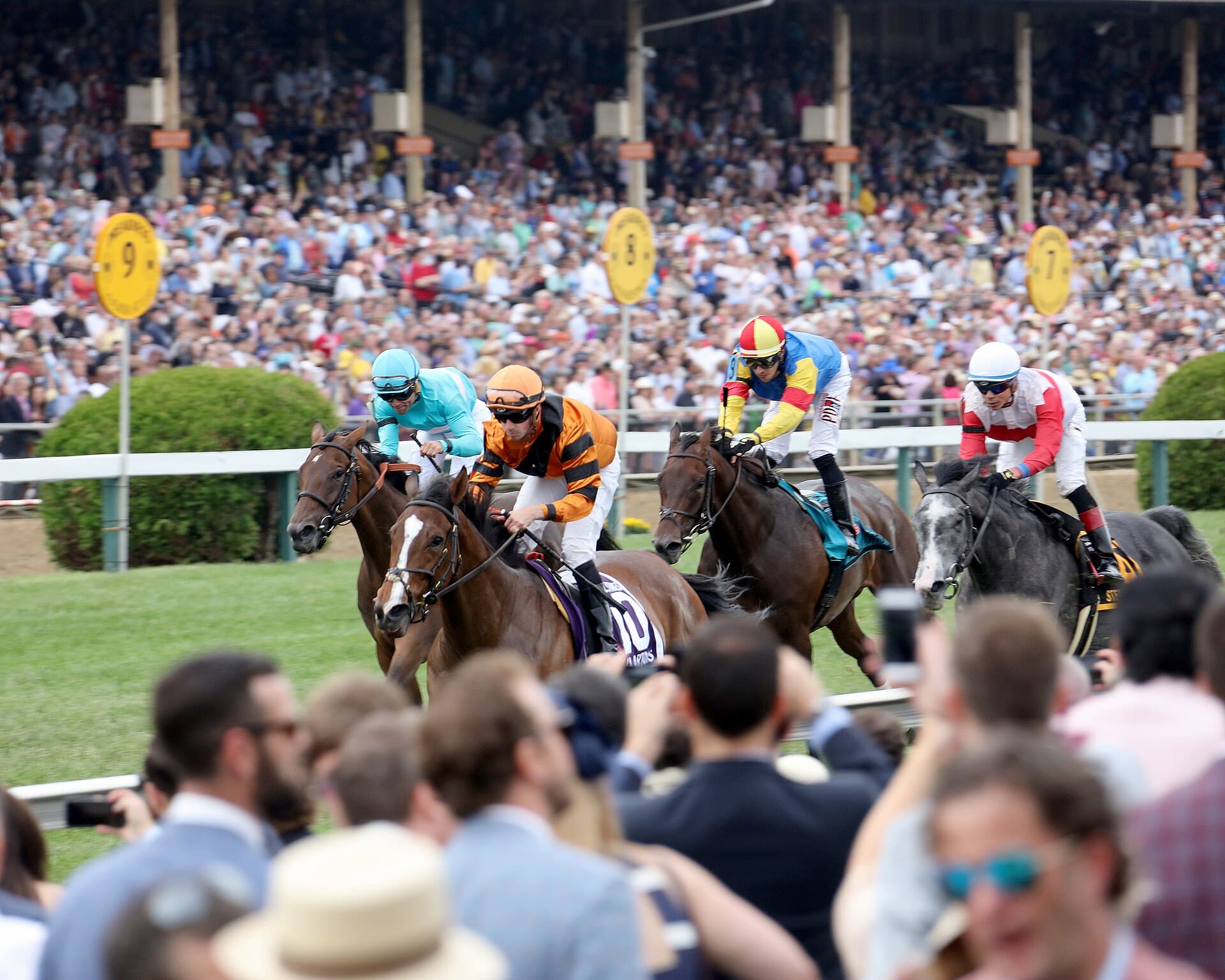 Gallorette Stakes — Wikimedia Commons