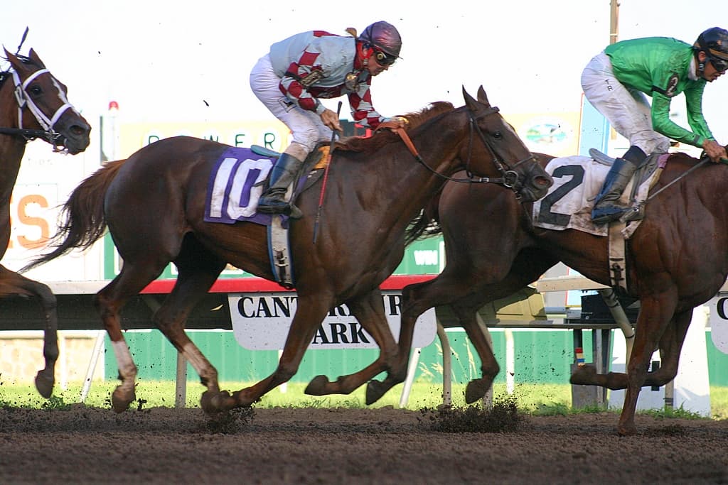 Canterbury Park — Wikimedia Commons
