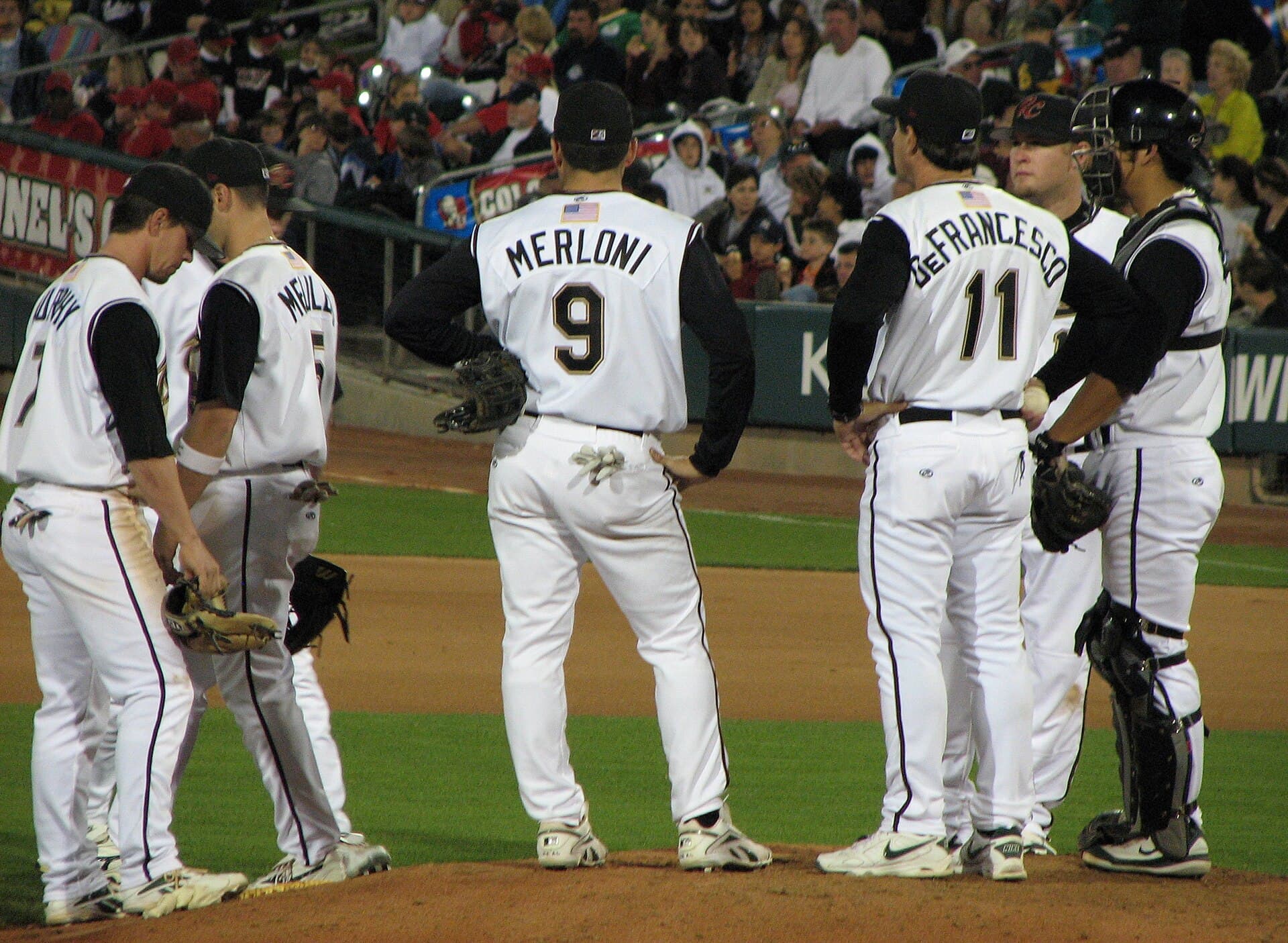 Sacramento River Cats — Wikimedia Commons