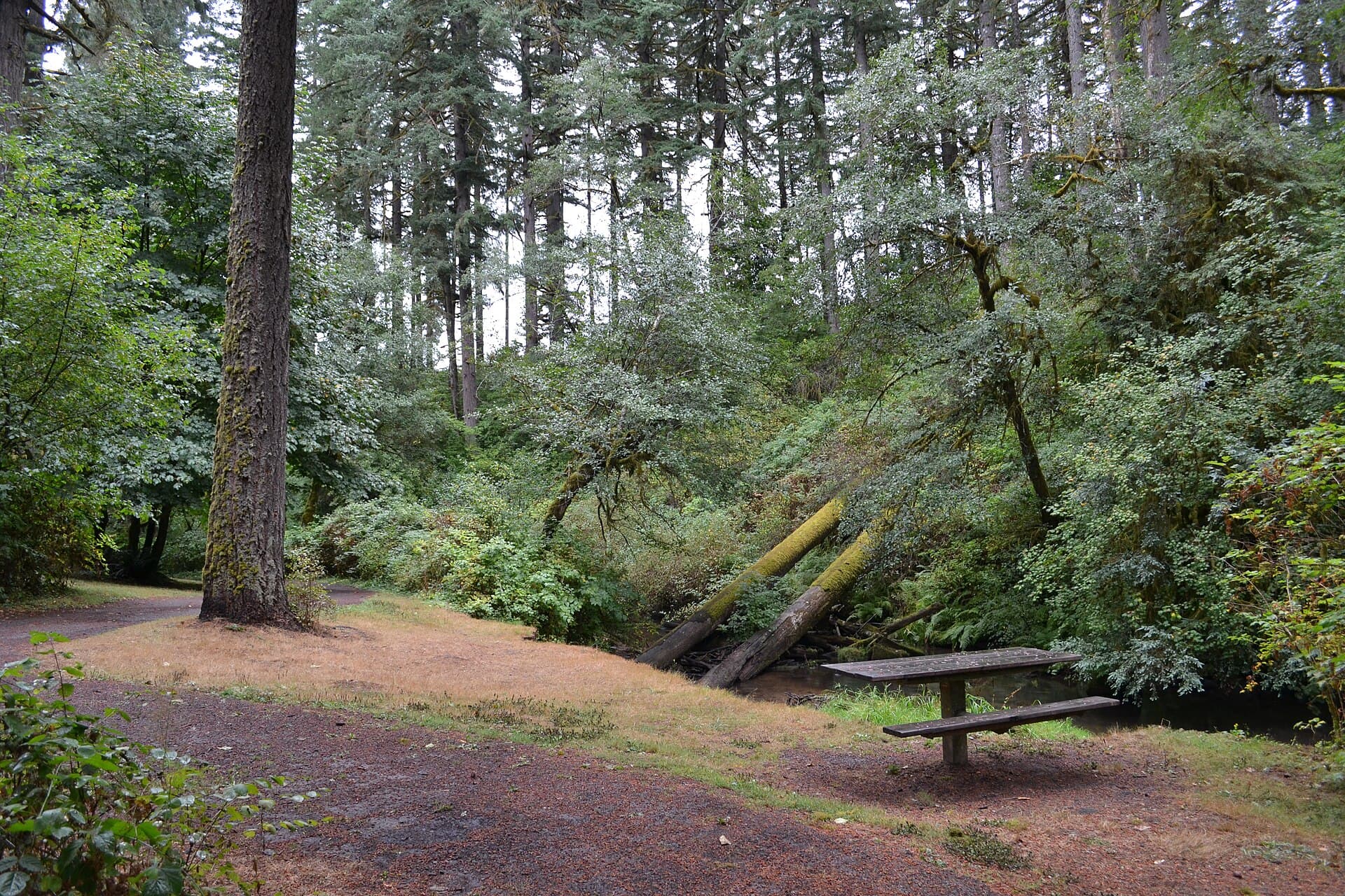 Lane County — Wikimedia Commons
