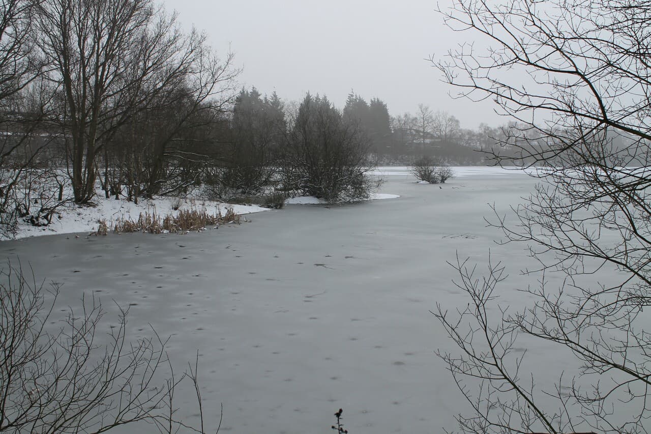 Swanholme Lakes — Wikimedia Commons