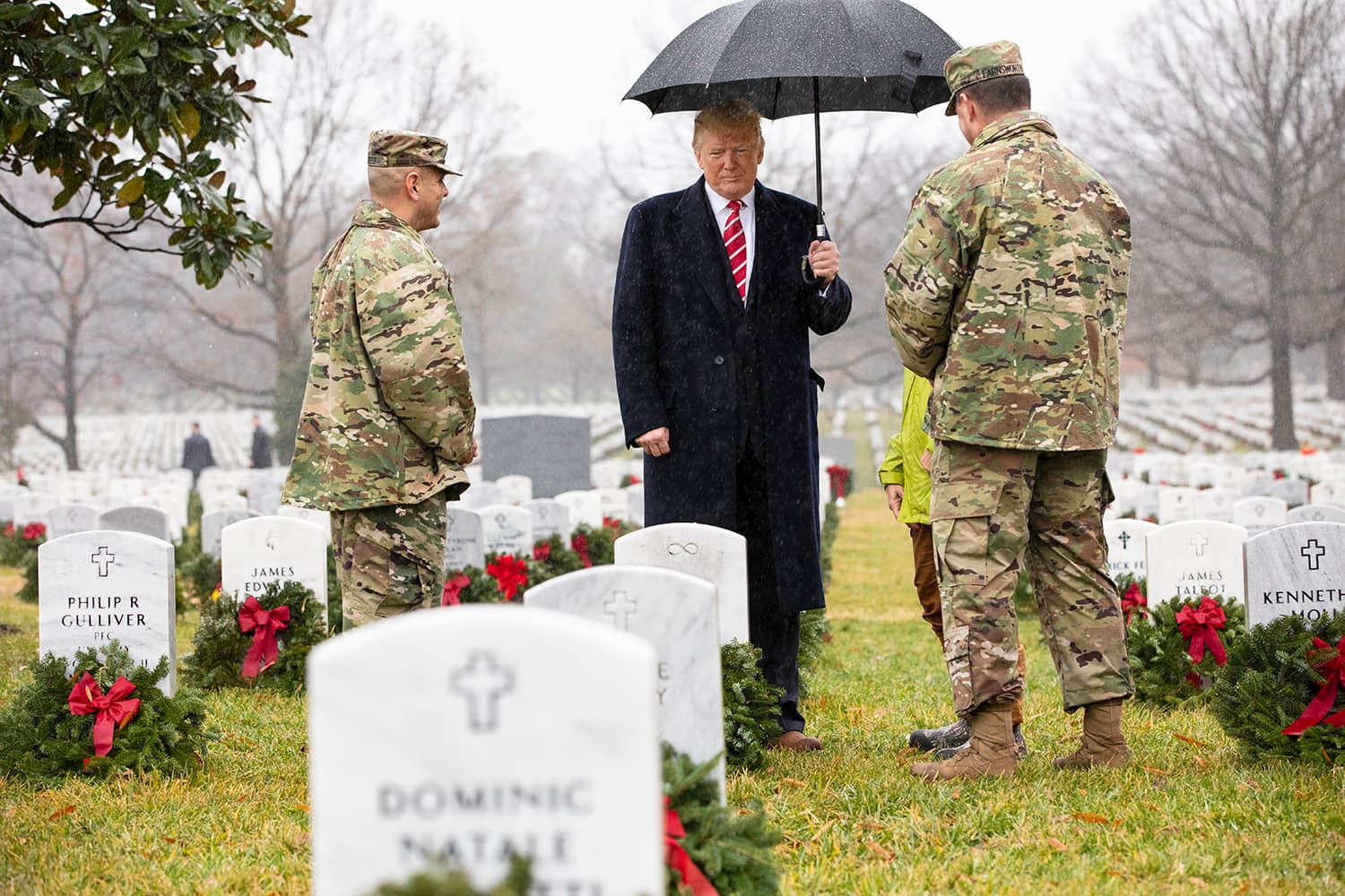Donald Trump — Wikimedia Commons