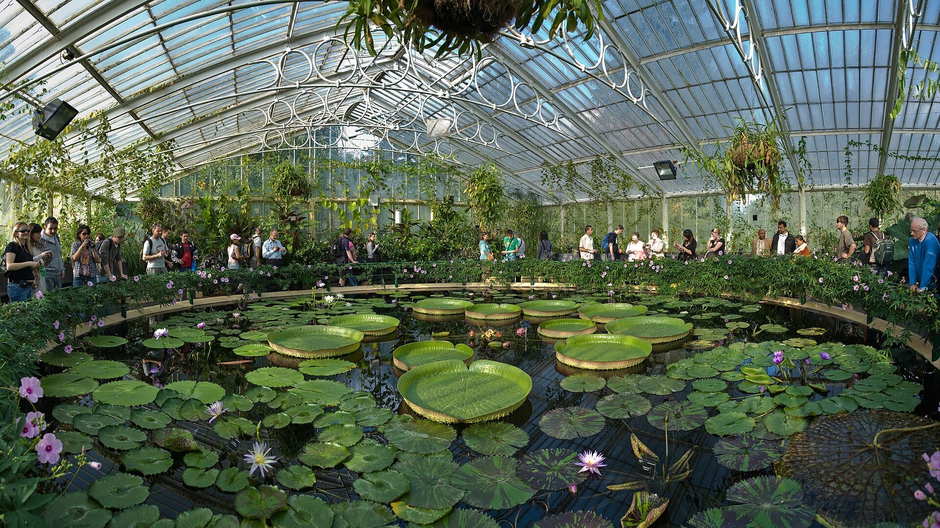 Kew Gardens — Wikimedia Commons