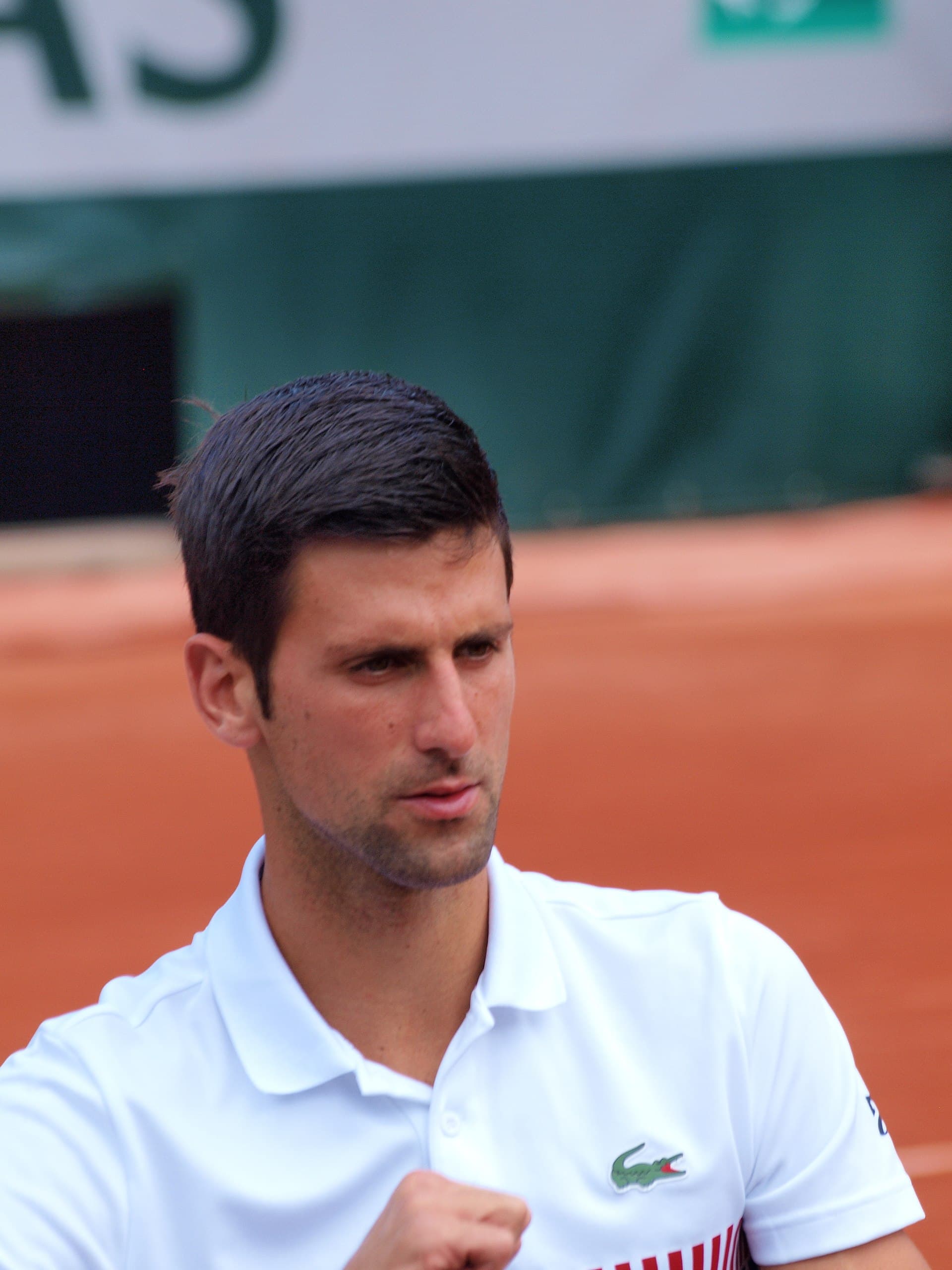 Novak Djokovic — Wikimedia Commons
