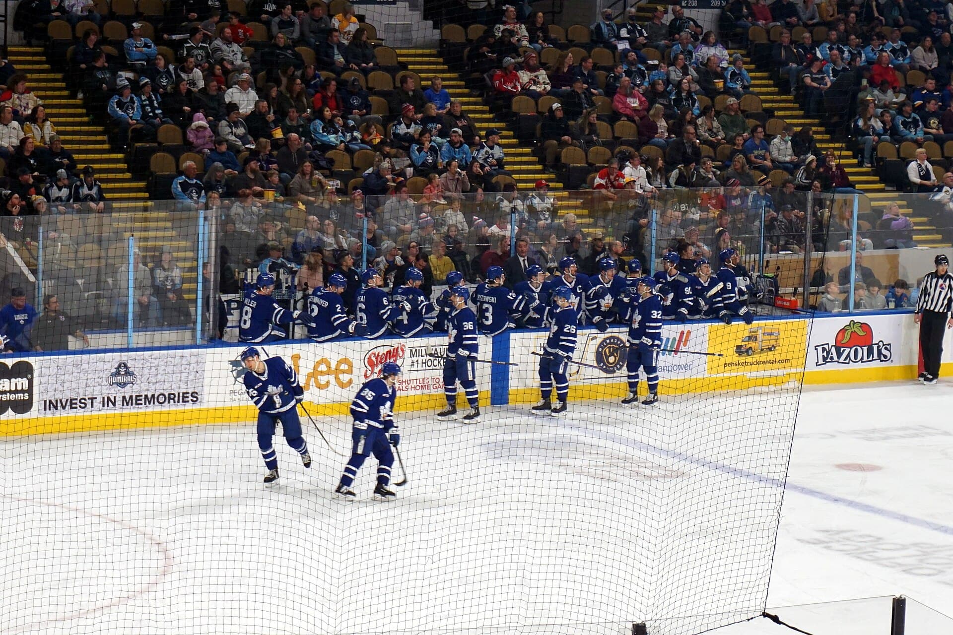 Toronto Marlies — Wikimedia Commons