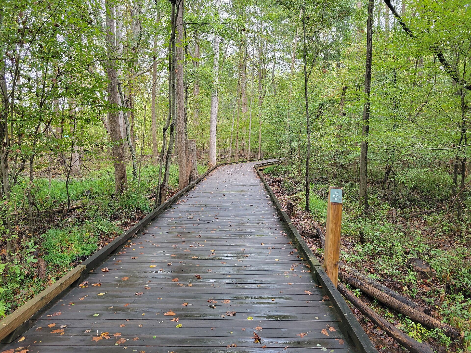 Boardwalk park — Wikimedia Commons