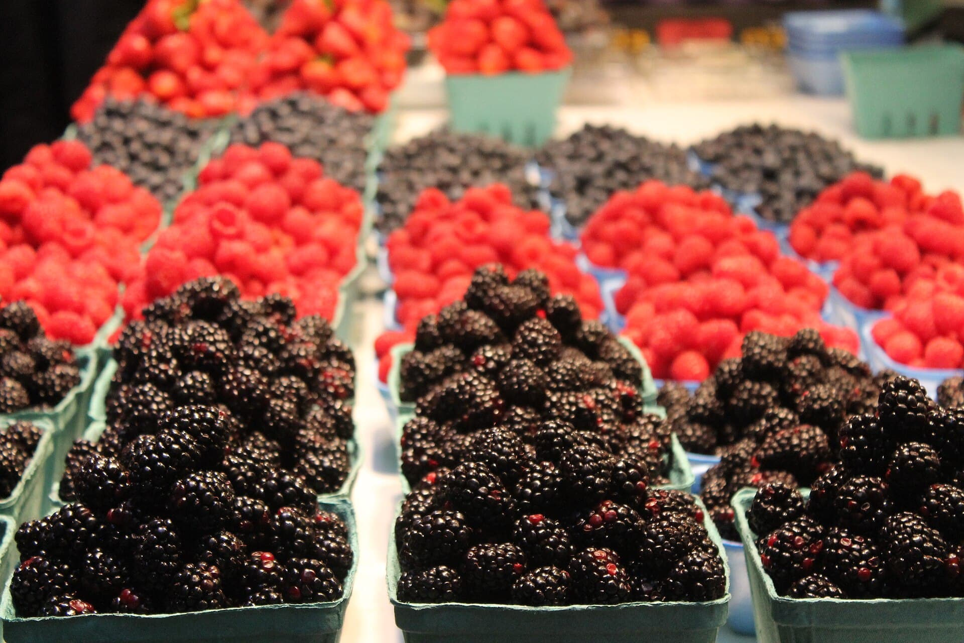 Holland farmers market — Wikimedia Commons