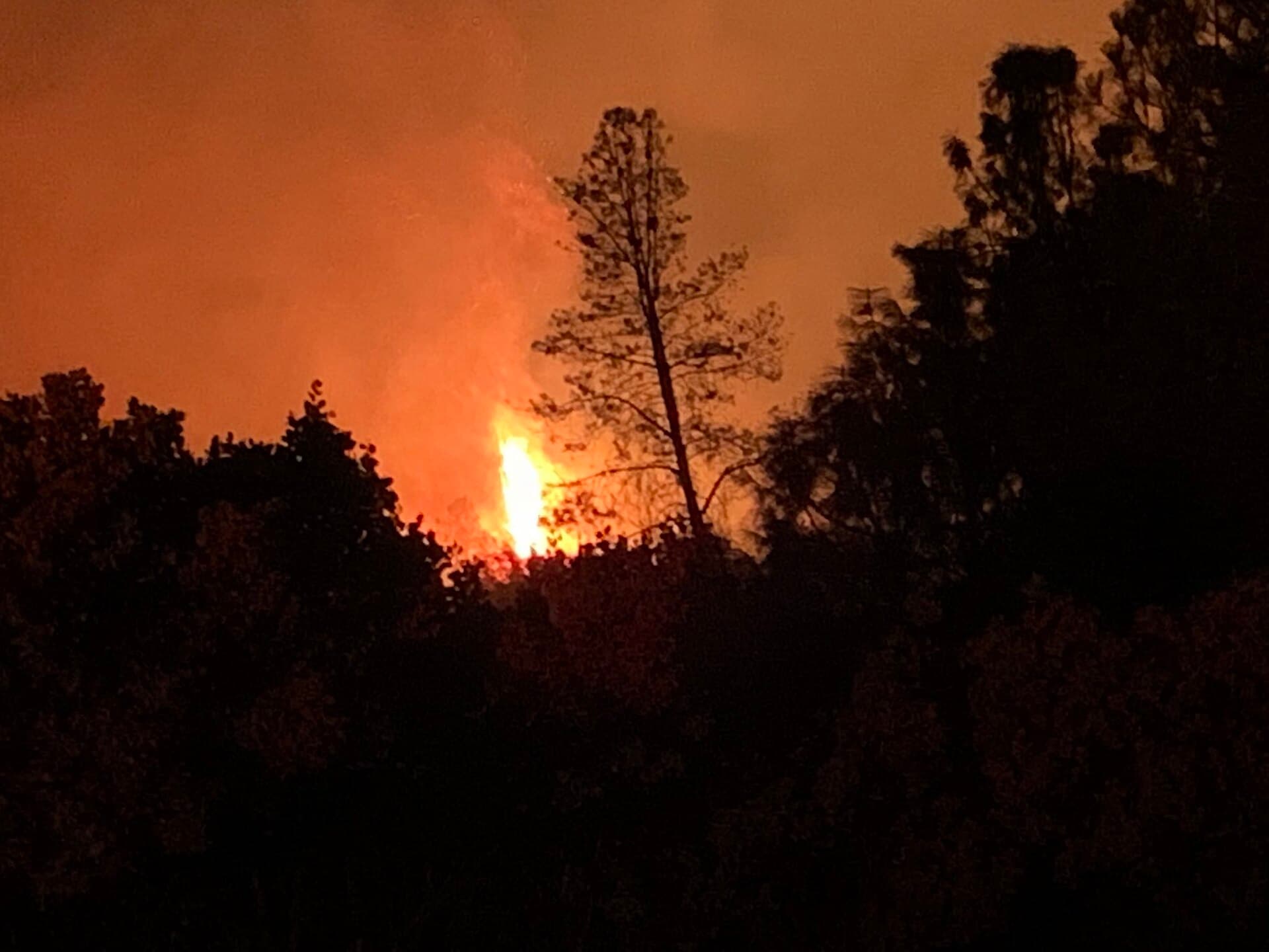 Bear Fire — Wikimedia Commons
