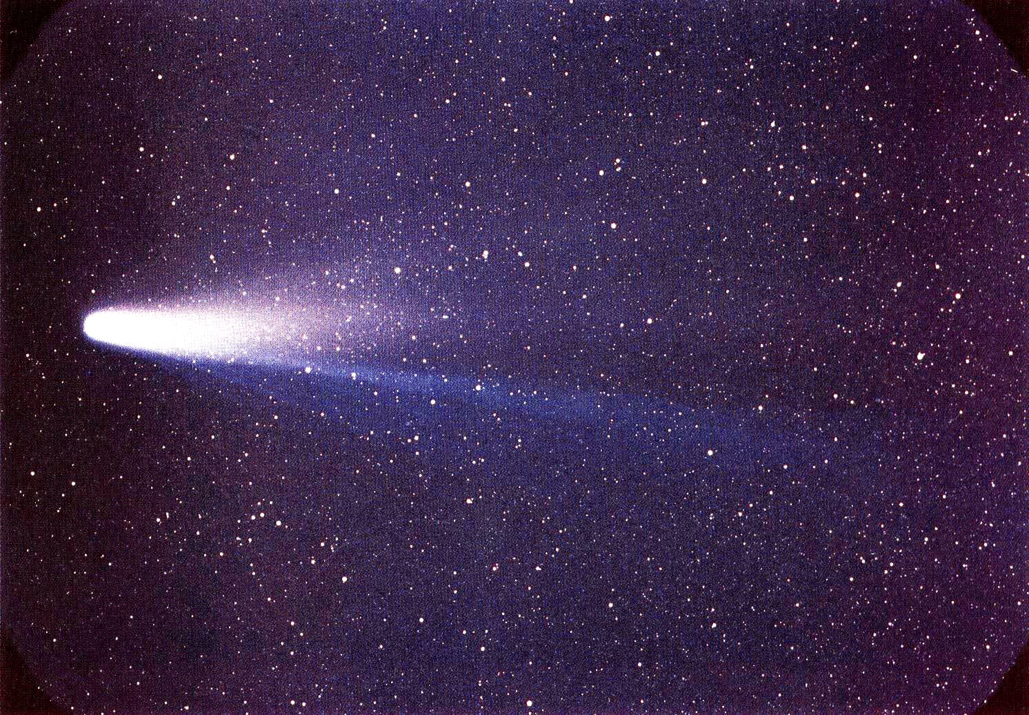 Halley’s Comet — Wikimedia Commons