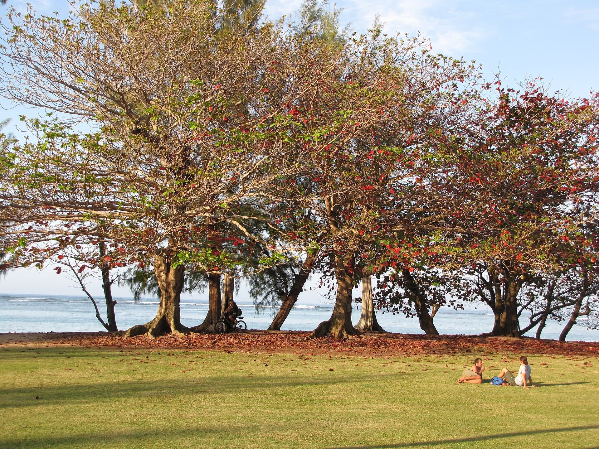 Anini Beach Park — Wikimedia Commons