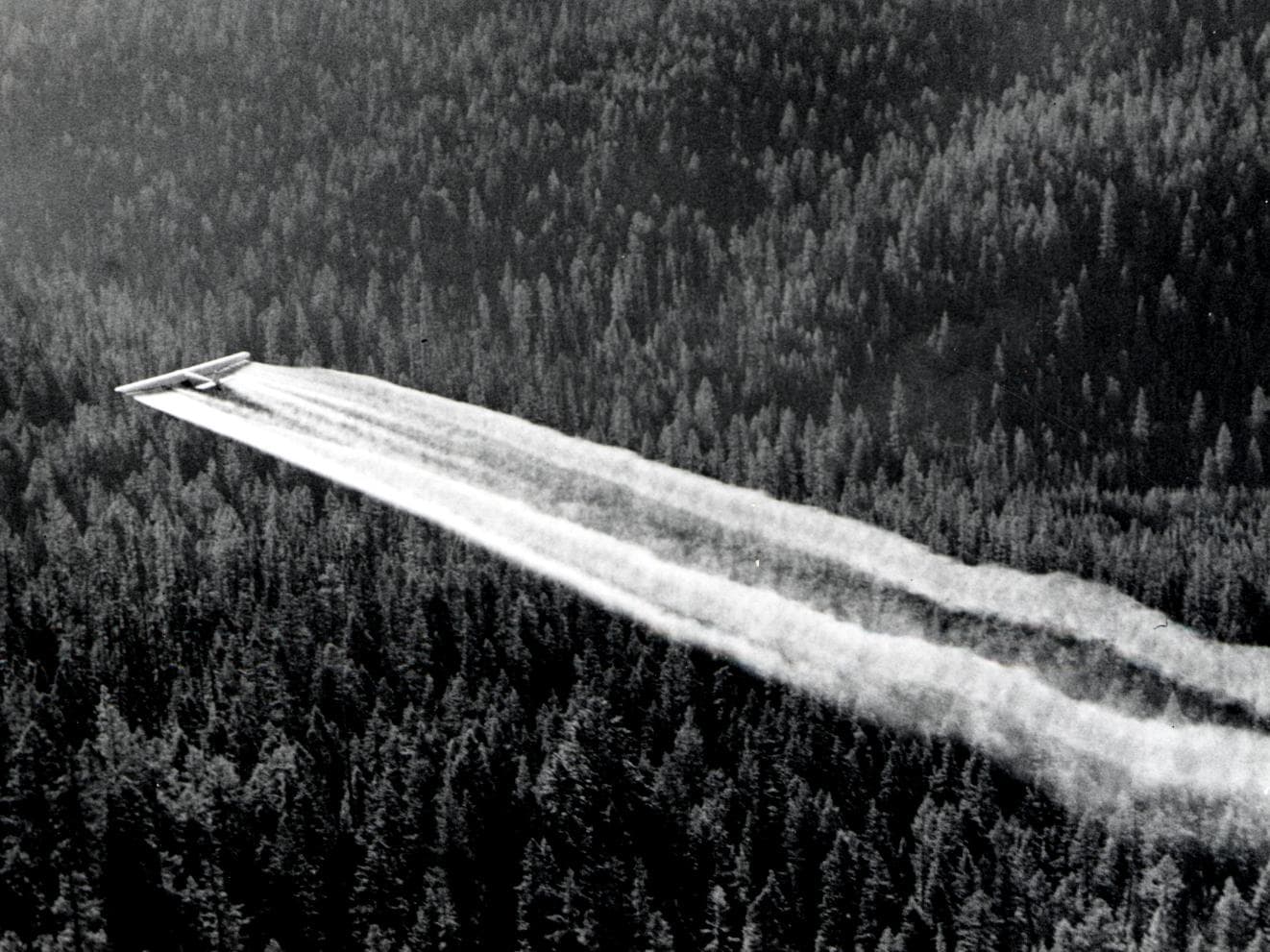 Oregon Department of Forestry — Wikimedia Commons