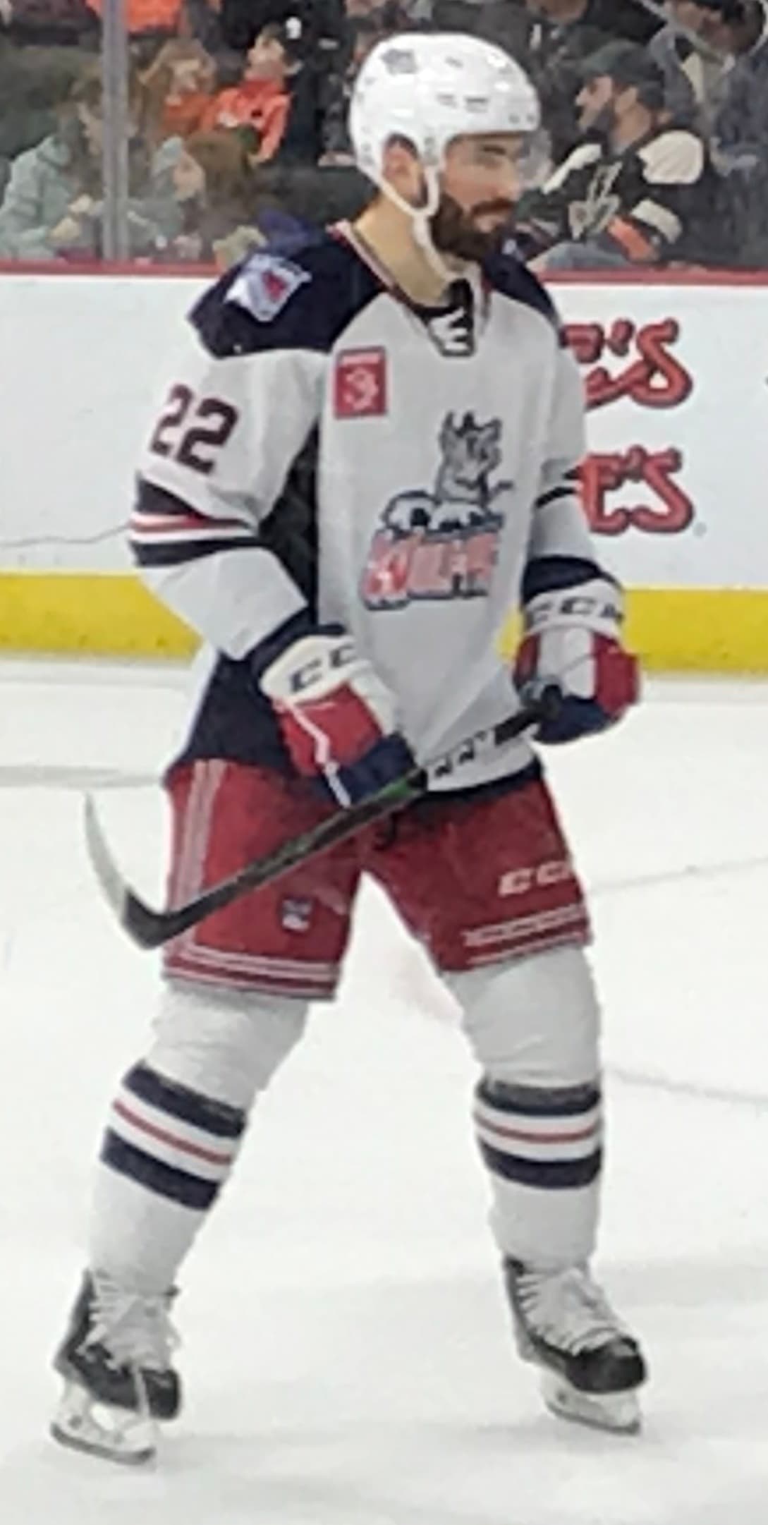 Hartford Wolf Pack — Wikimedia Commons