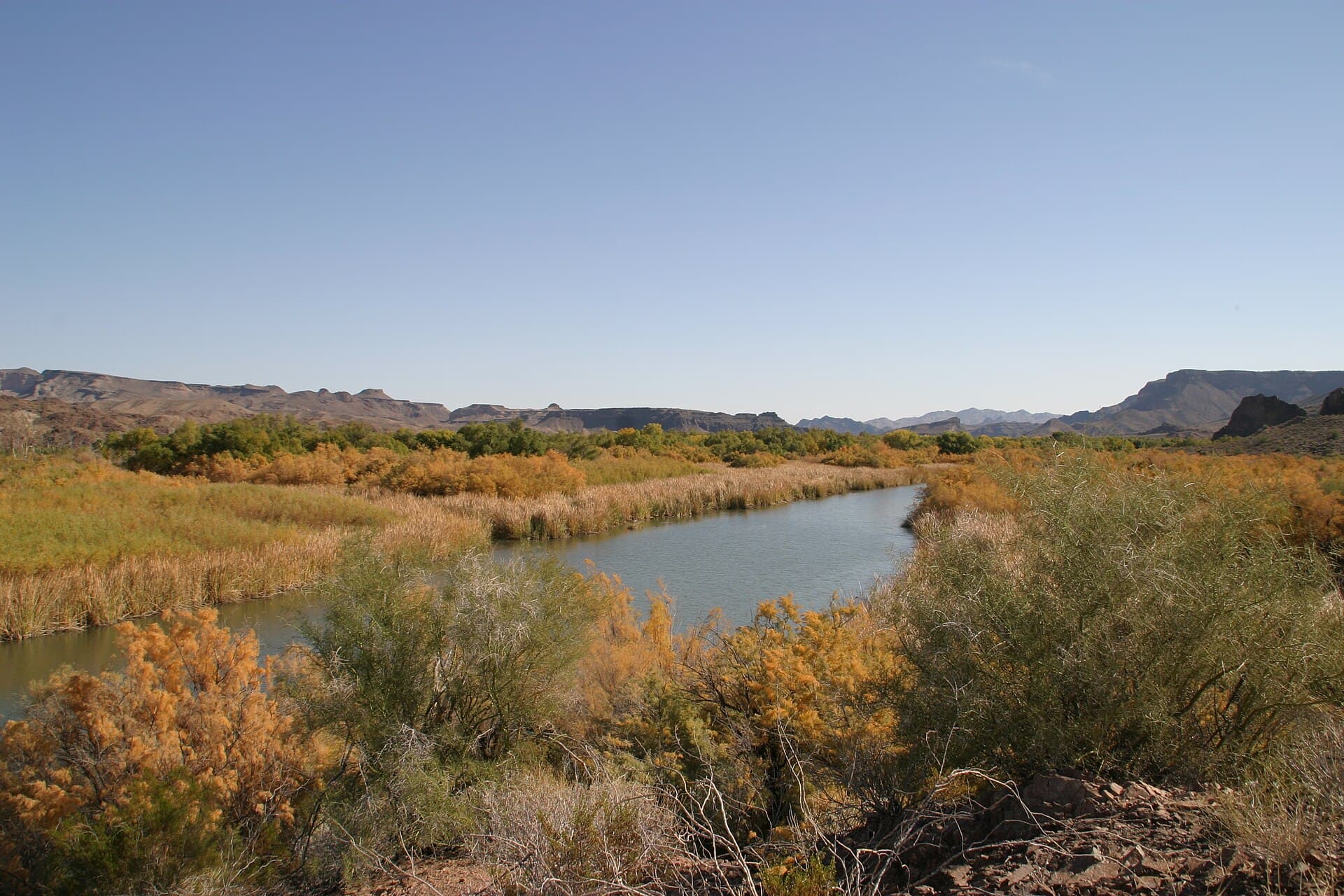 Bill Williams River National Wildlife Refuge — Wikimedia Commons