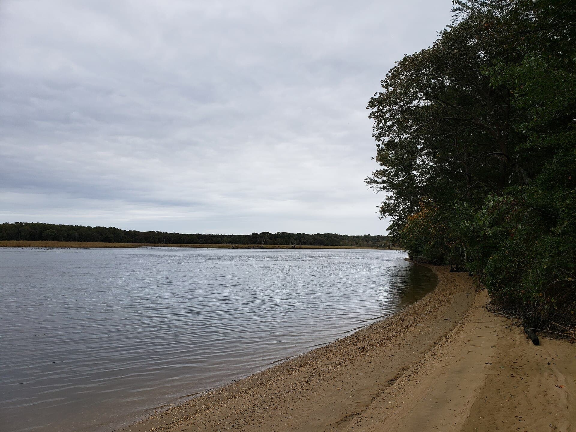 Maurice River Bluffs Preserve — Wikimedia Commons