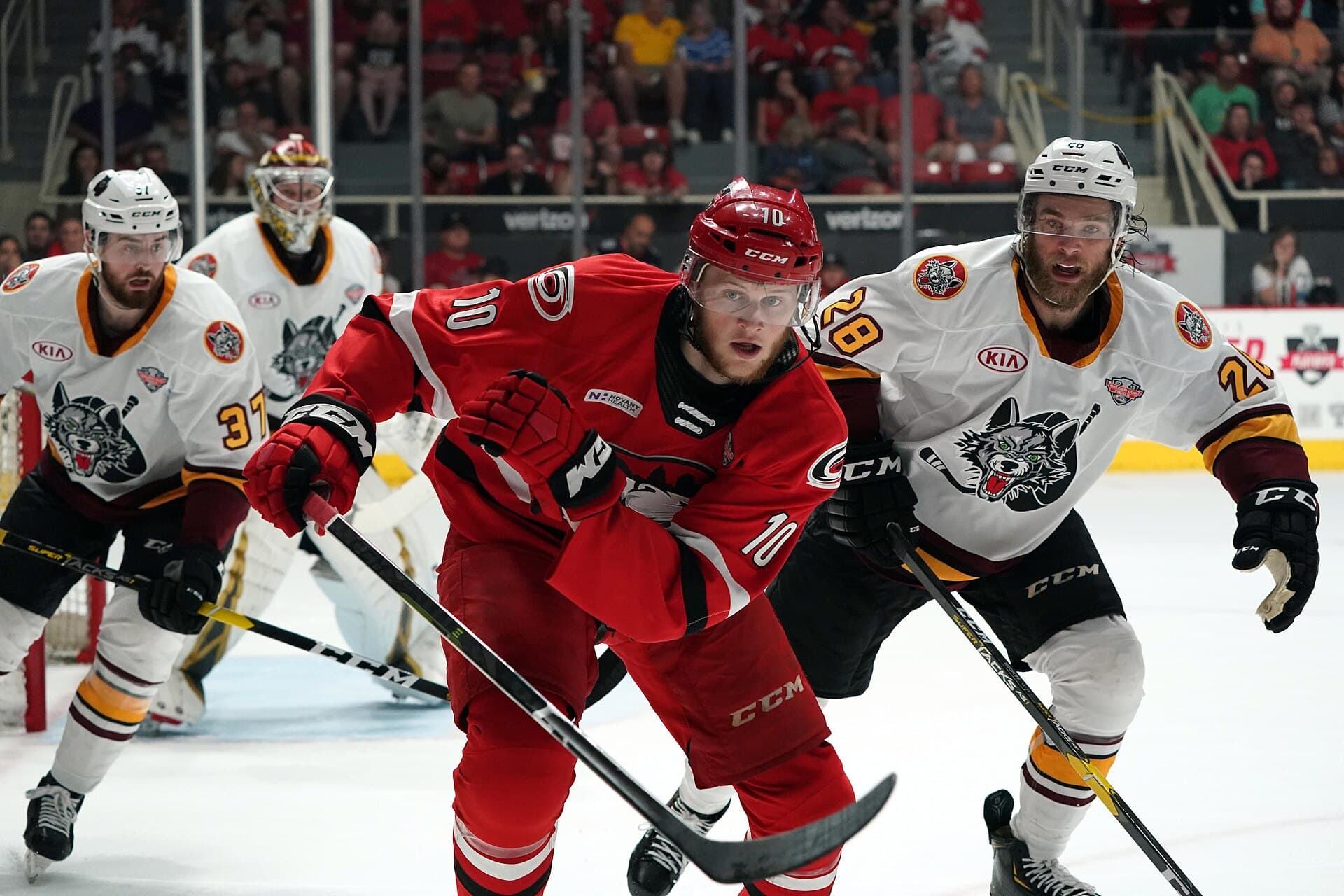 Chicago Wolves — Wikimedia Commons