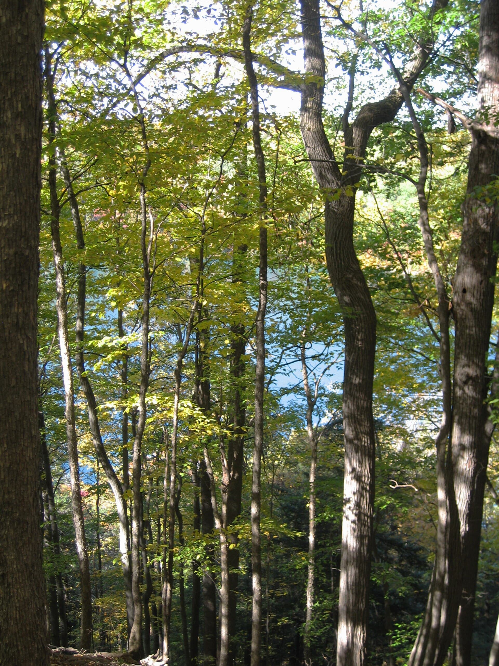 Green Lakes State Park — Wikimedia Commons