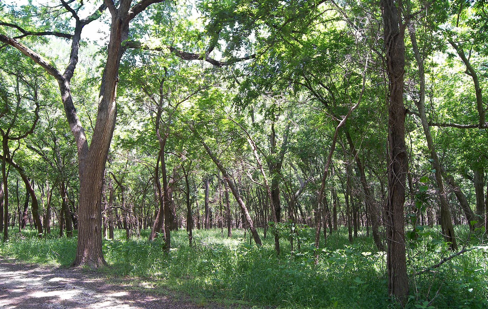 Mother Neff State Park — Wikimedia Commons