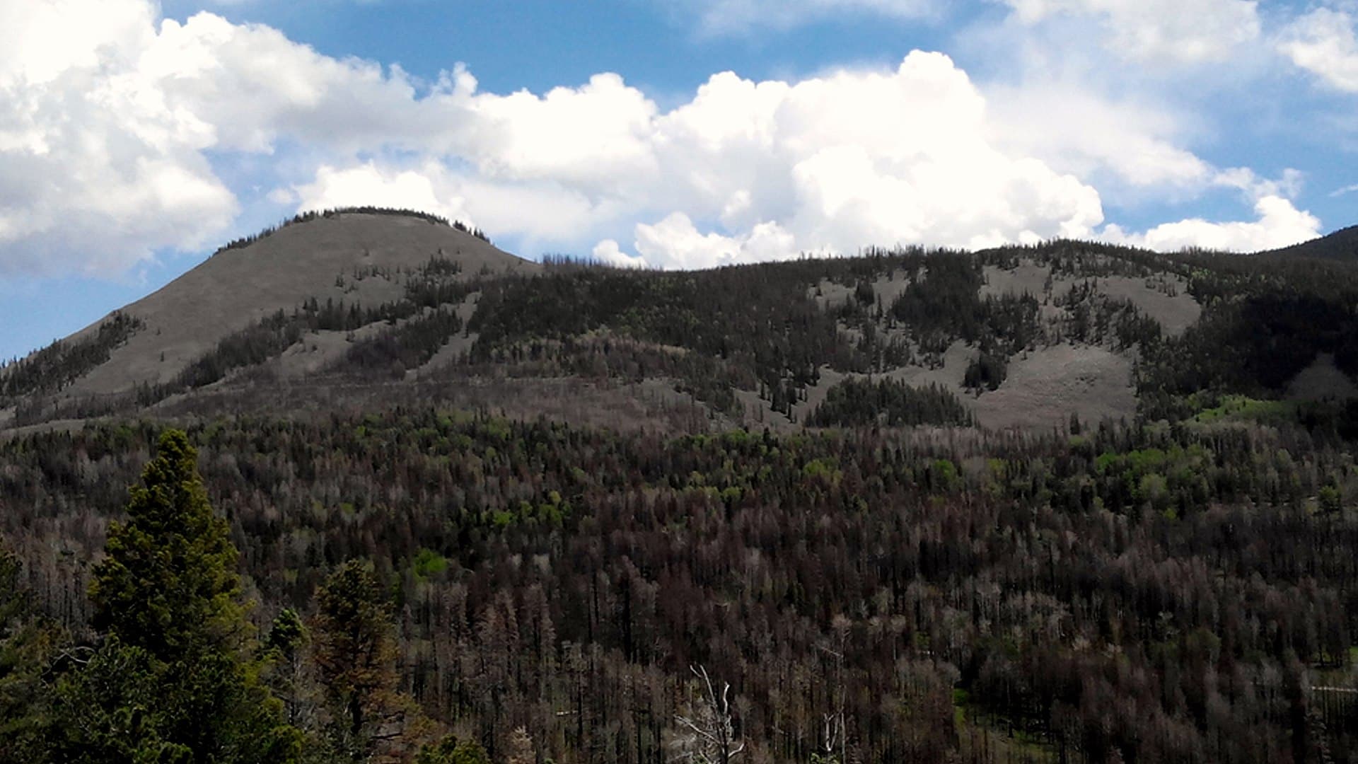 Valles Caldera National Preserve — Wikimedia Commons