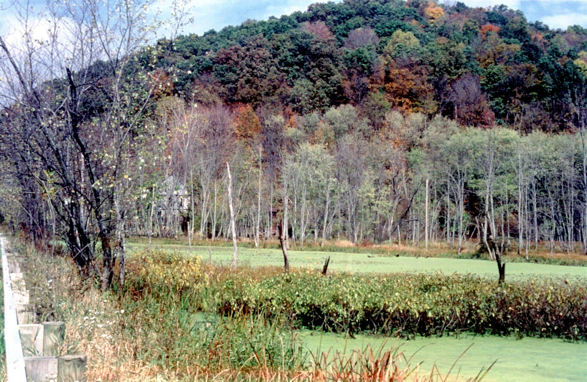 Killbuck Marsh Wildlife Area — Wikimedia Commons
