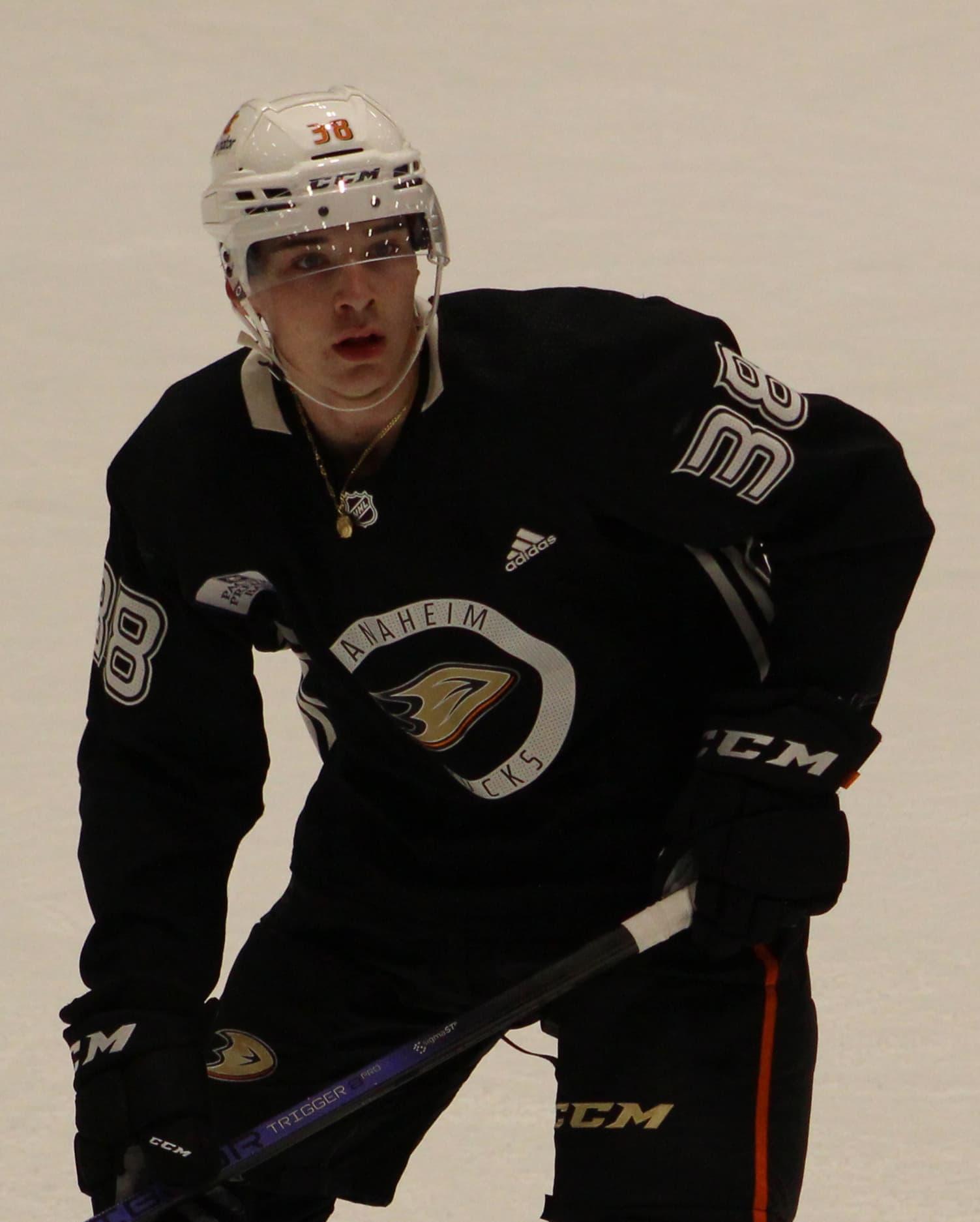 Anaheim Ducks — Wikimedia Commons
