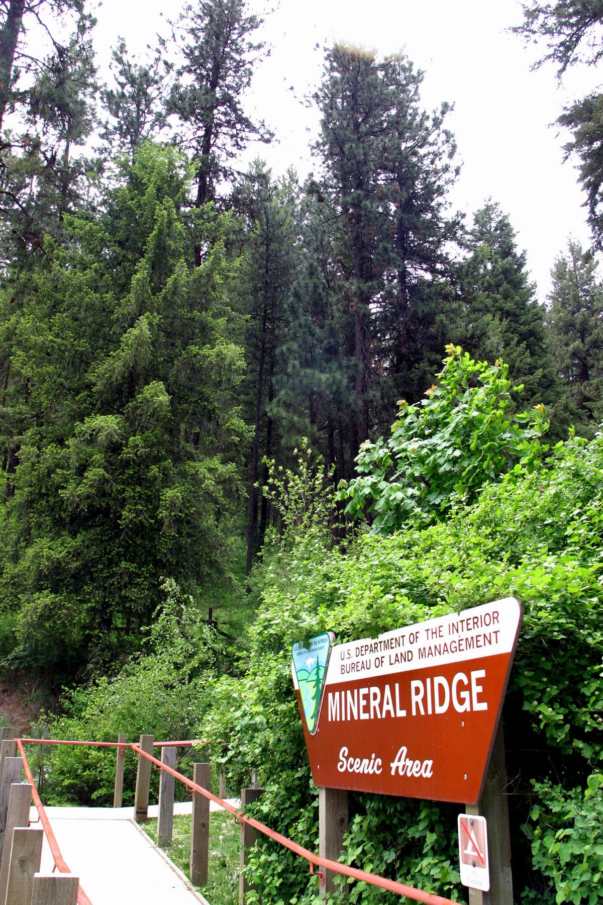 Mineral Ridge — Wikimedia Commons