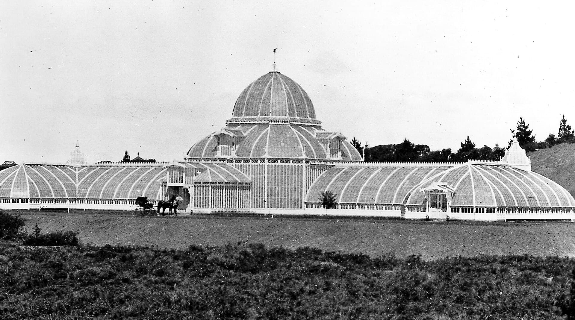 San Francisco Conservatory of Flowers — Wikimedia Commons