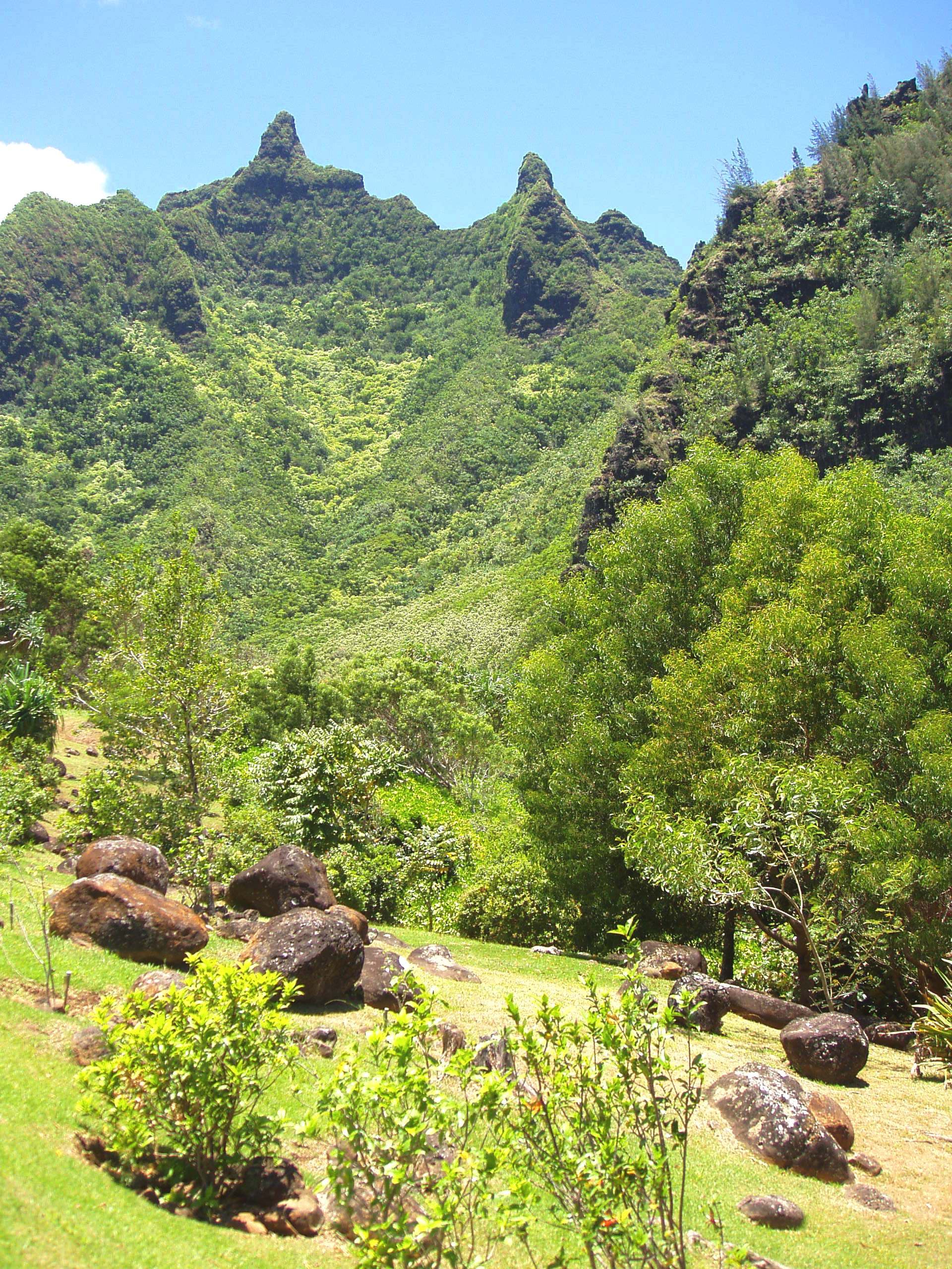Limahuli Garden and Preserve — Wikimedia Commons