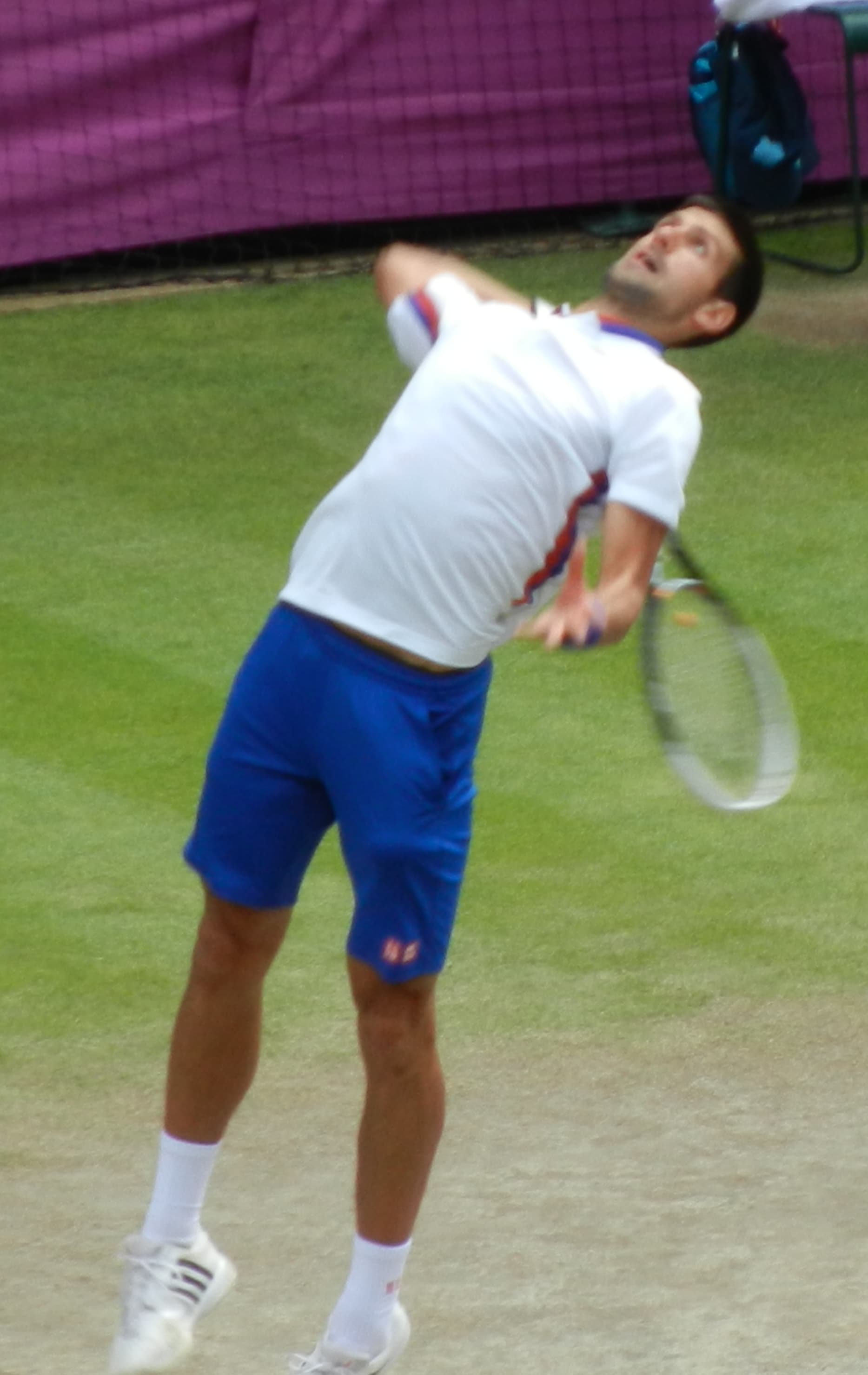 Novak Djokovic — Wikimedia Commons