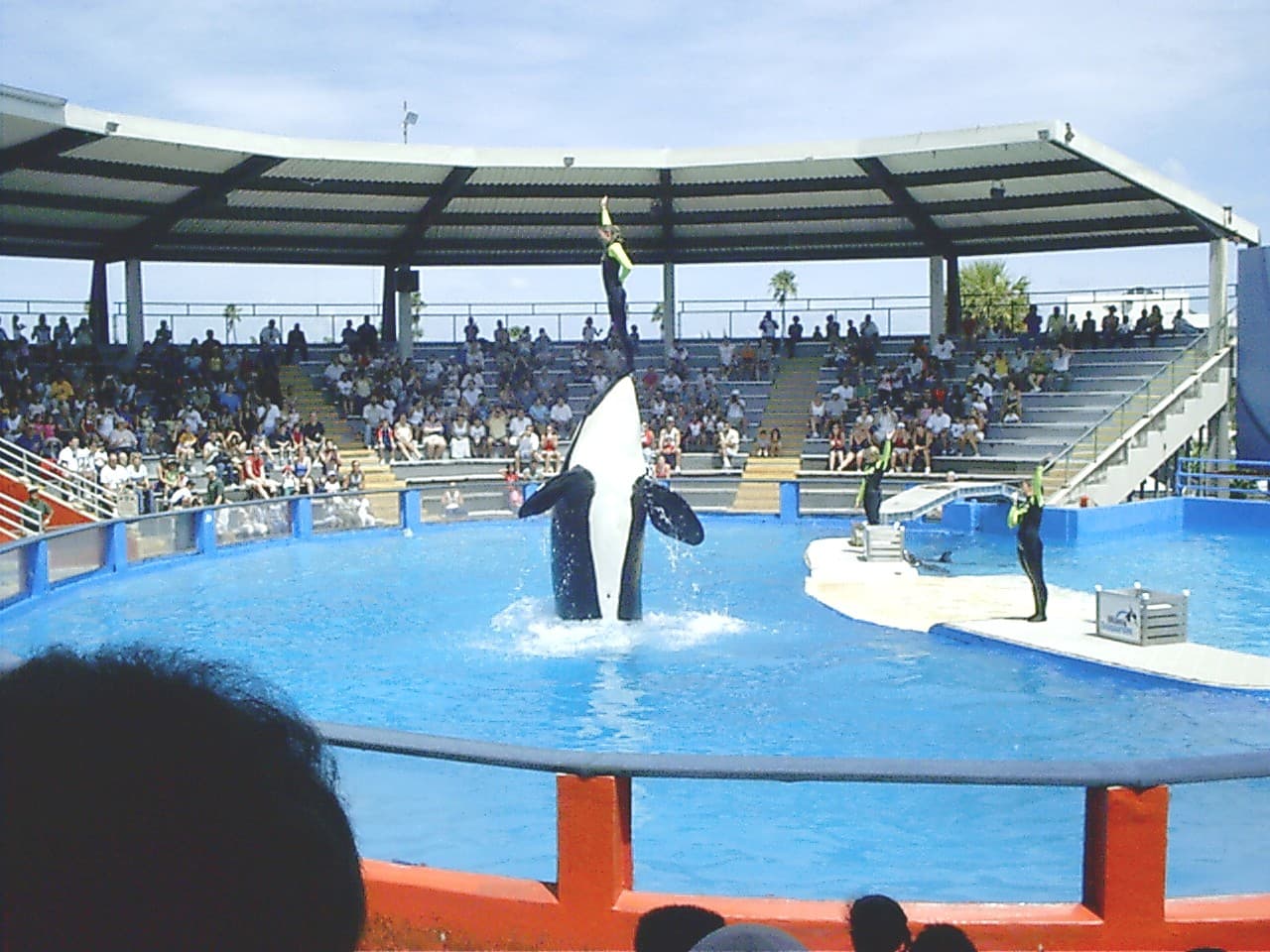 Miami Seaquarium — Wikimedia Commons