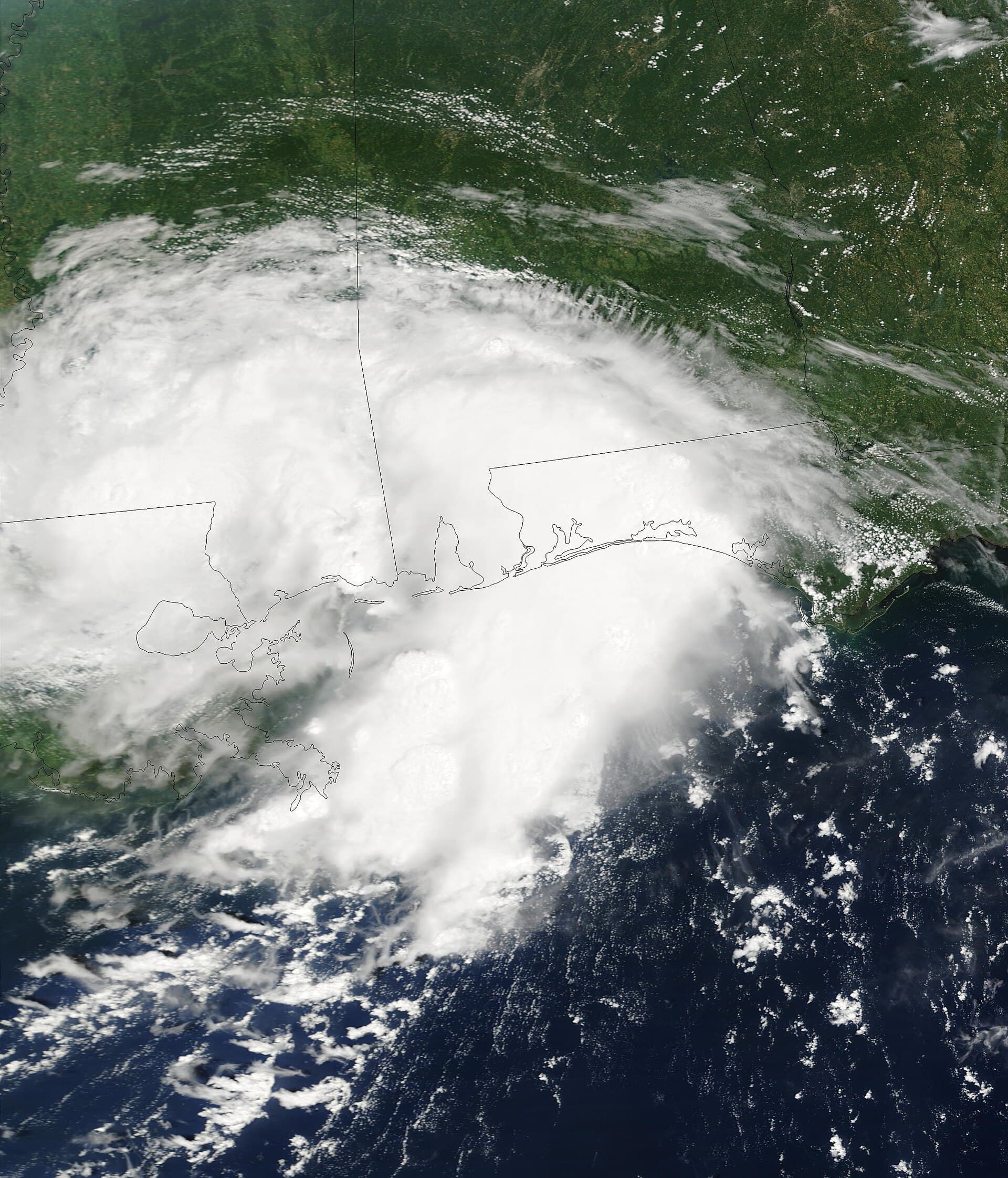 Tropical Storm Bertha — Wikimedia Commons
