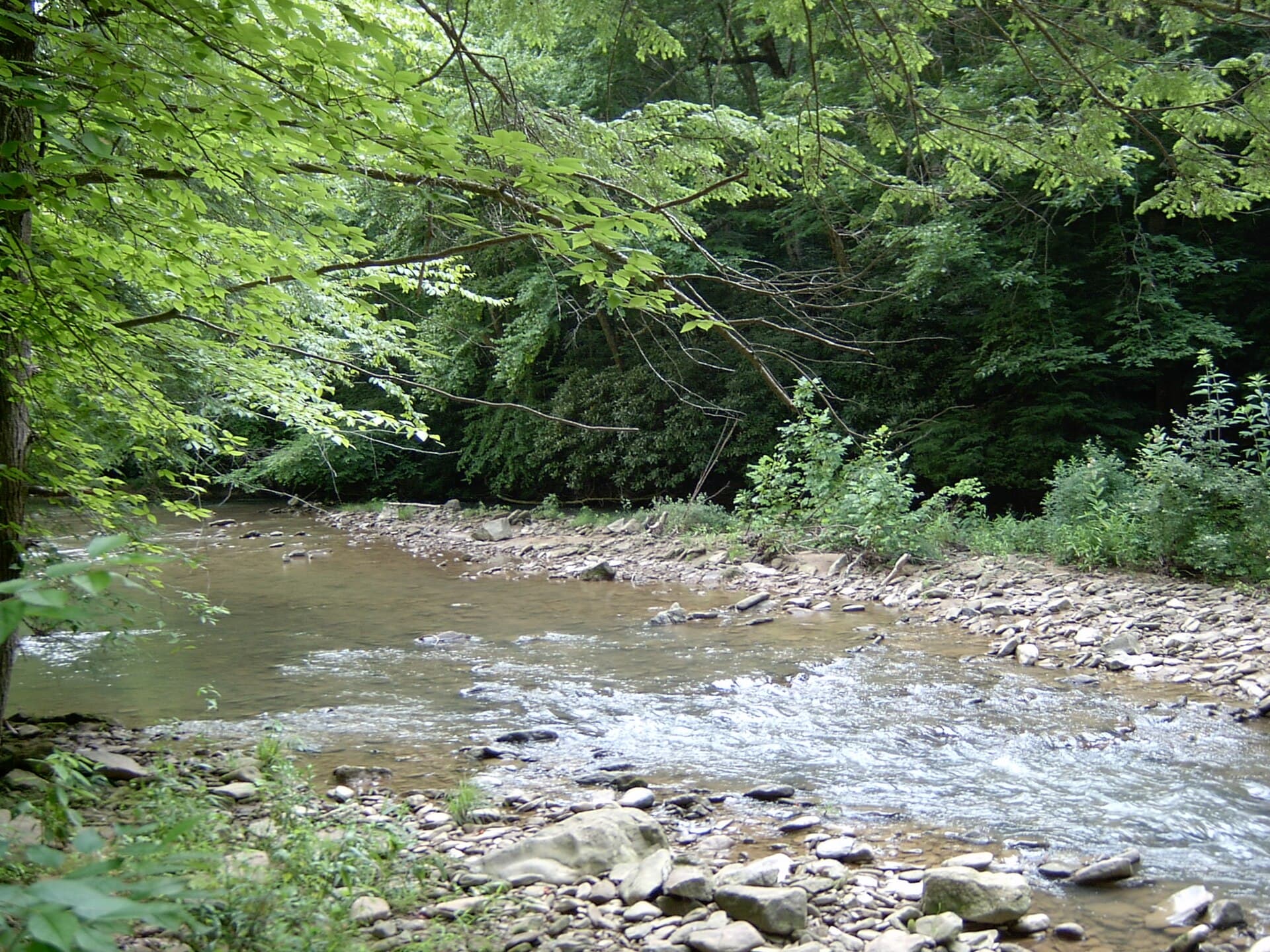 Panther Wildlife Management Area — Wikimedia Commons