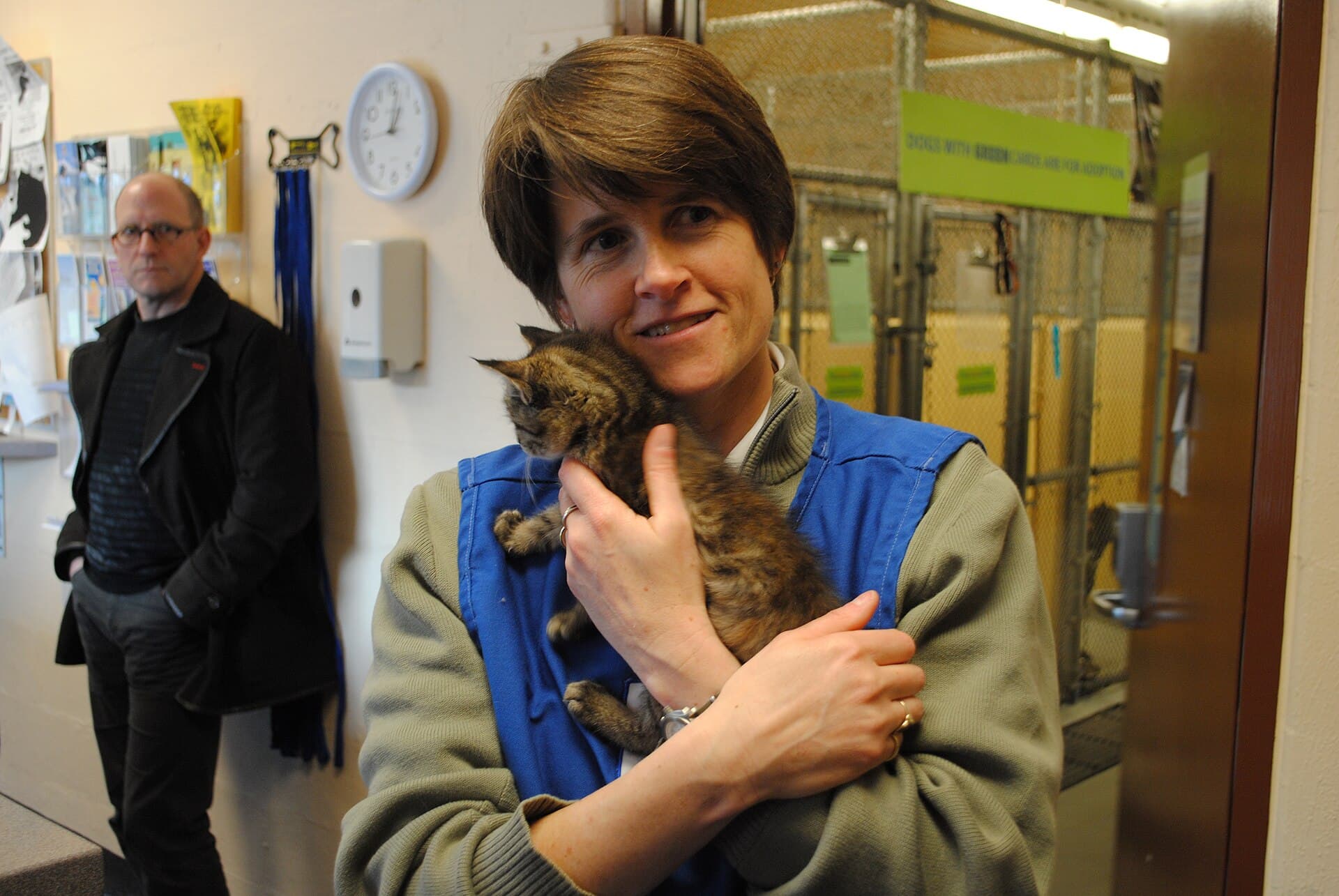 Cats, Kittens and New Beginnings — Wikimedia Commons