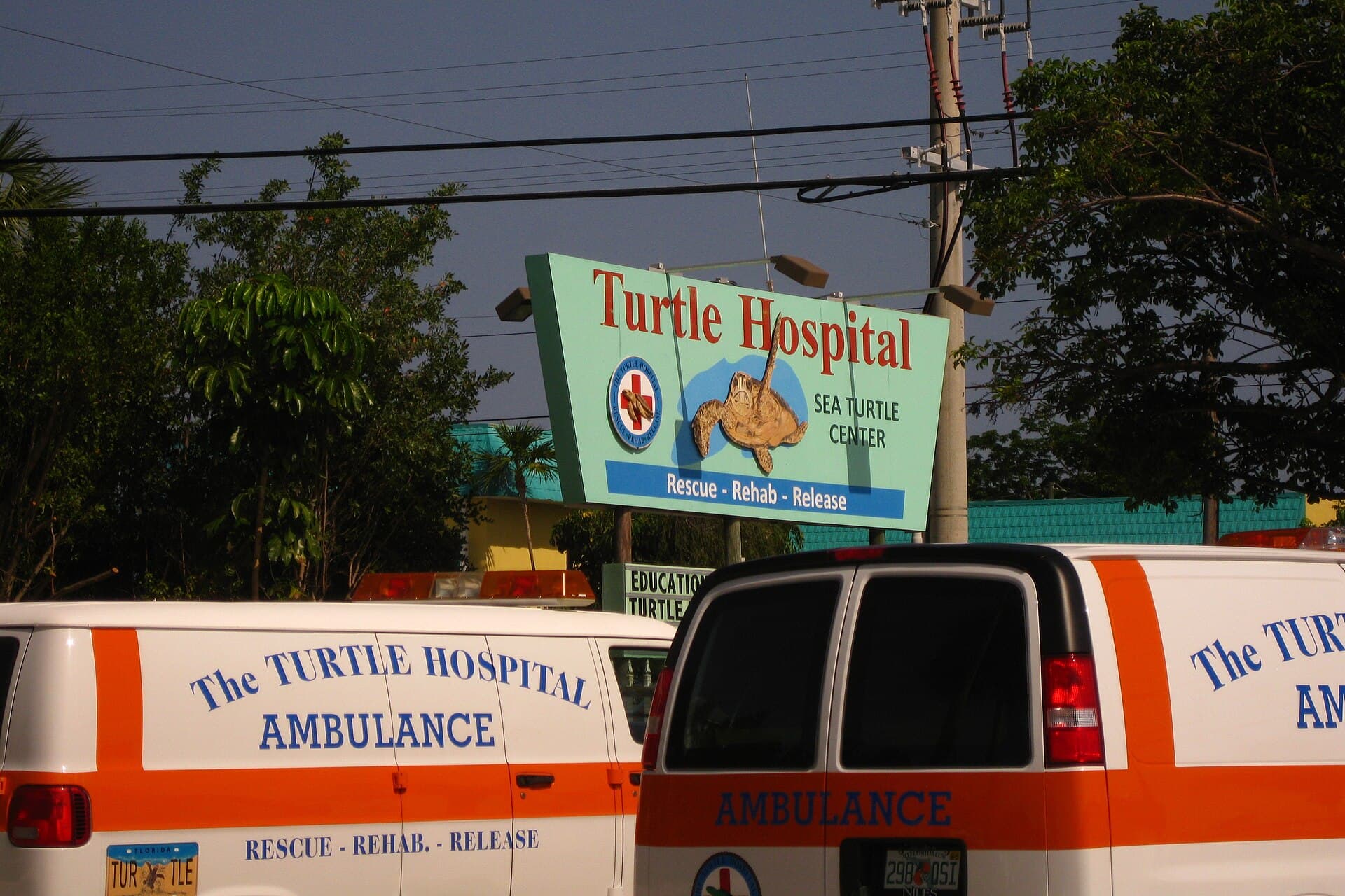 Marathon Turtle Hospital — Wikimedia Commons
