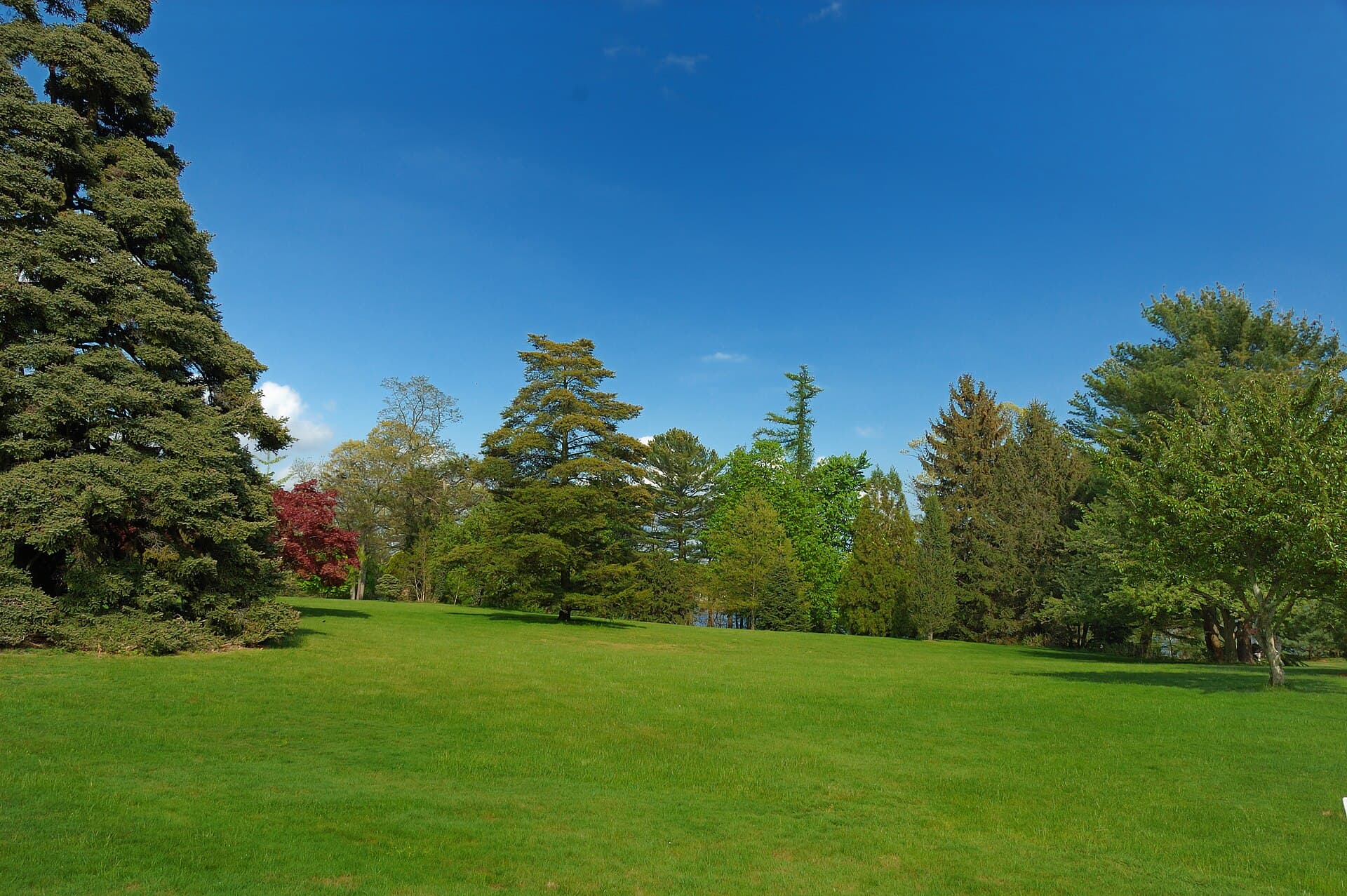 Bayard Cutting Arboretum — Wikimedia Commons