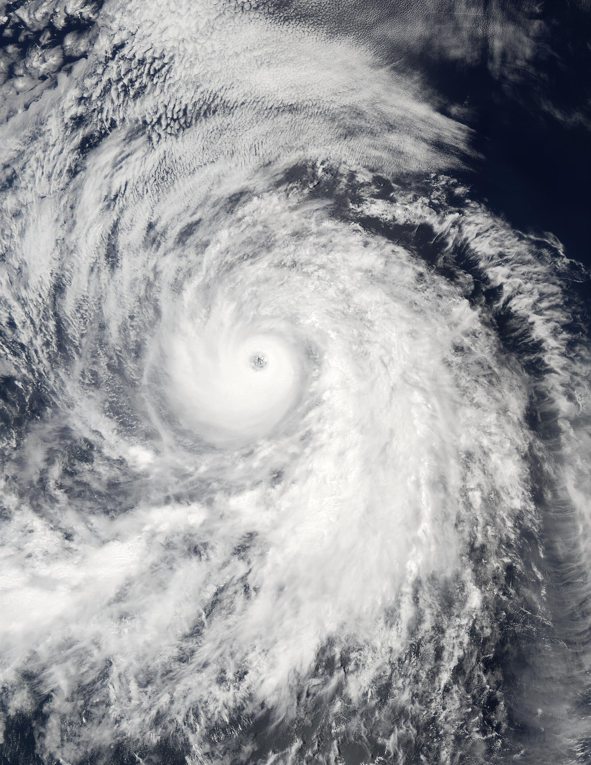 Hurricane Fausto — Wikimedia Commons