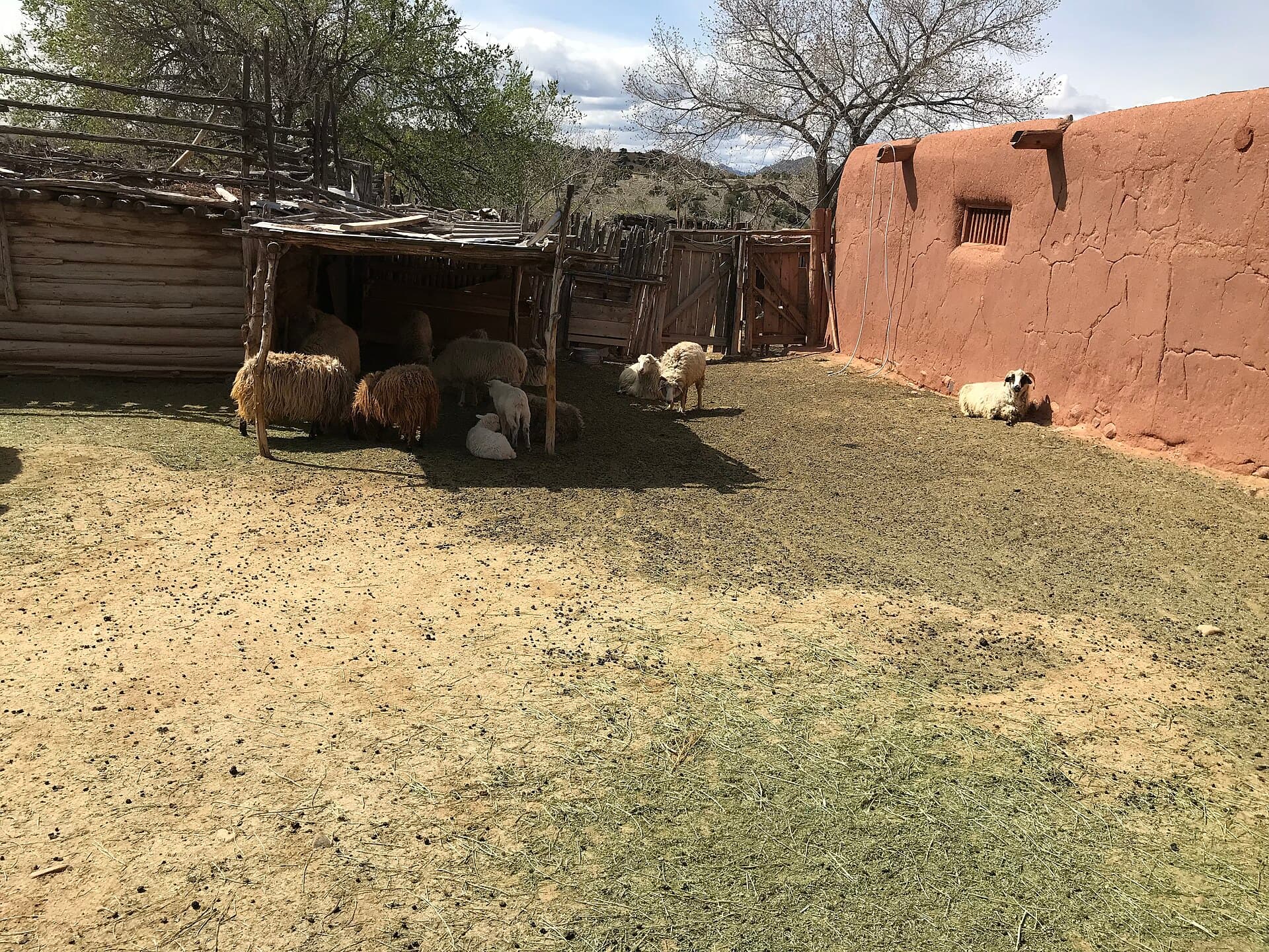 El Rancho de las Golondrinas — Wikimedia Commons