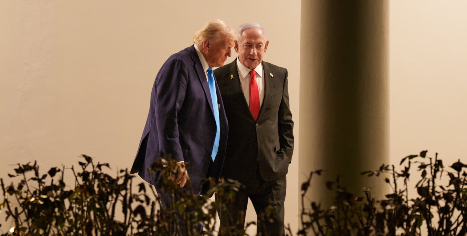 Donald Trump — Wikimedia Commons
