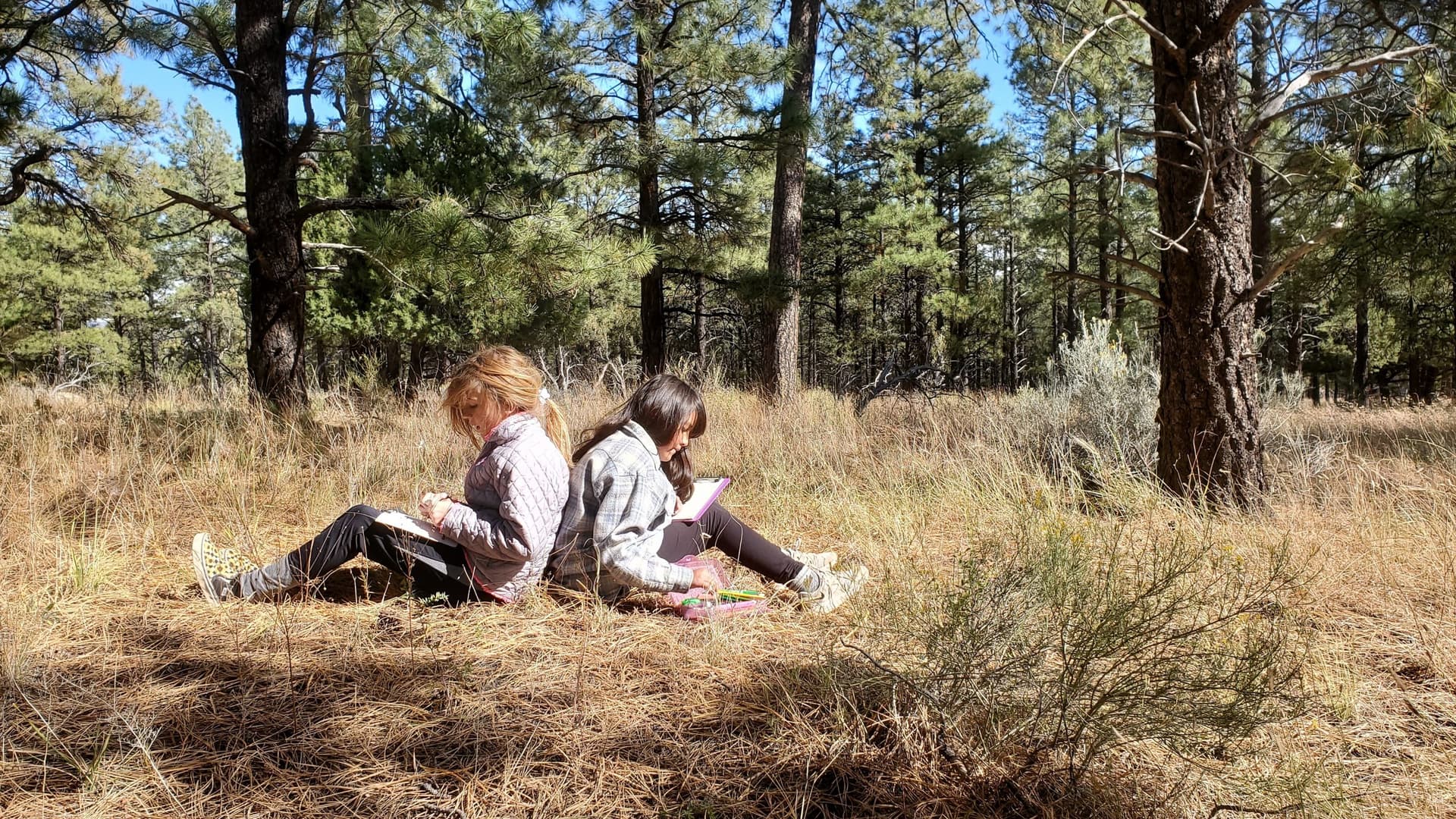 Flagstaff named 2026 Trail Town for strong urban trail network