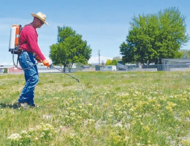 Baker County weed board surveys support for 2027 levy vote