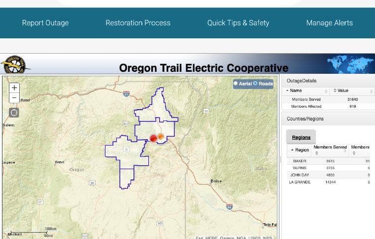 Fallen tree knocks out power for 919 Baker County customers