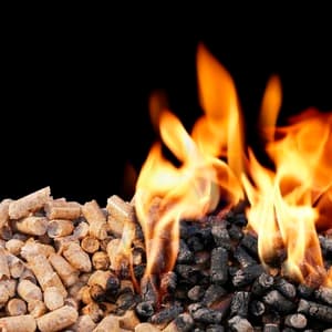 Louisiana advances wood pellet manufacturing bill to boost jobs, exports