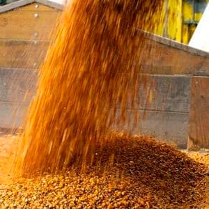 USDA says U.S. ethanol plants used 428 million bushels of corn in April