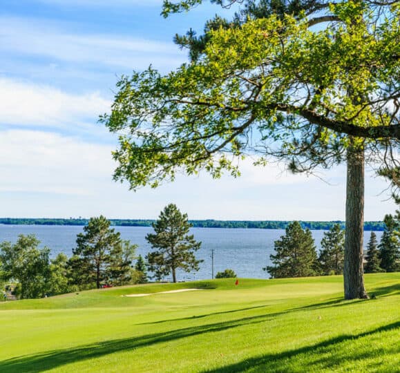 Bemidji golf coach Tina Offerdahl aces BTCC No. 7 again