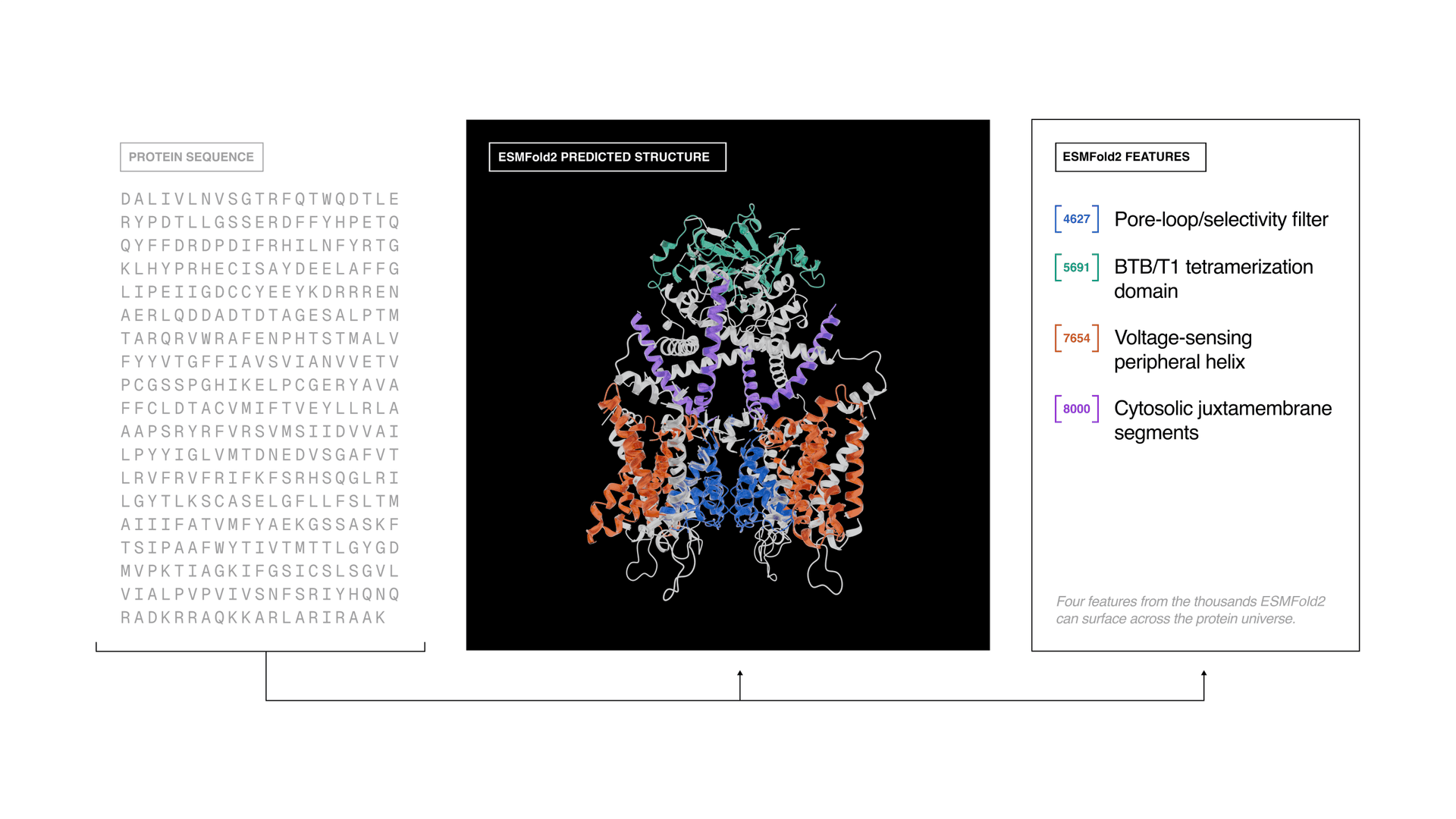 Biohub updates protein AI model to design binders, map function