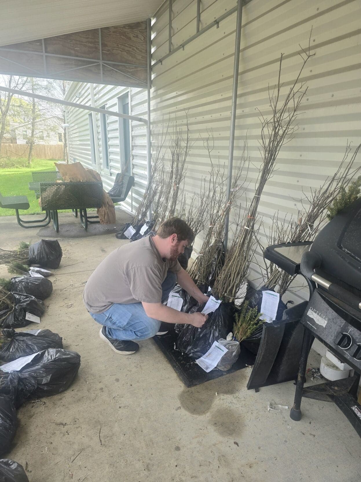 Union County conservation district sells tree seedlings for land management