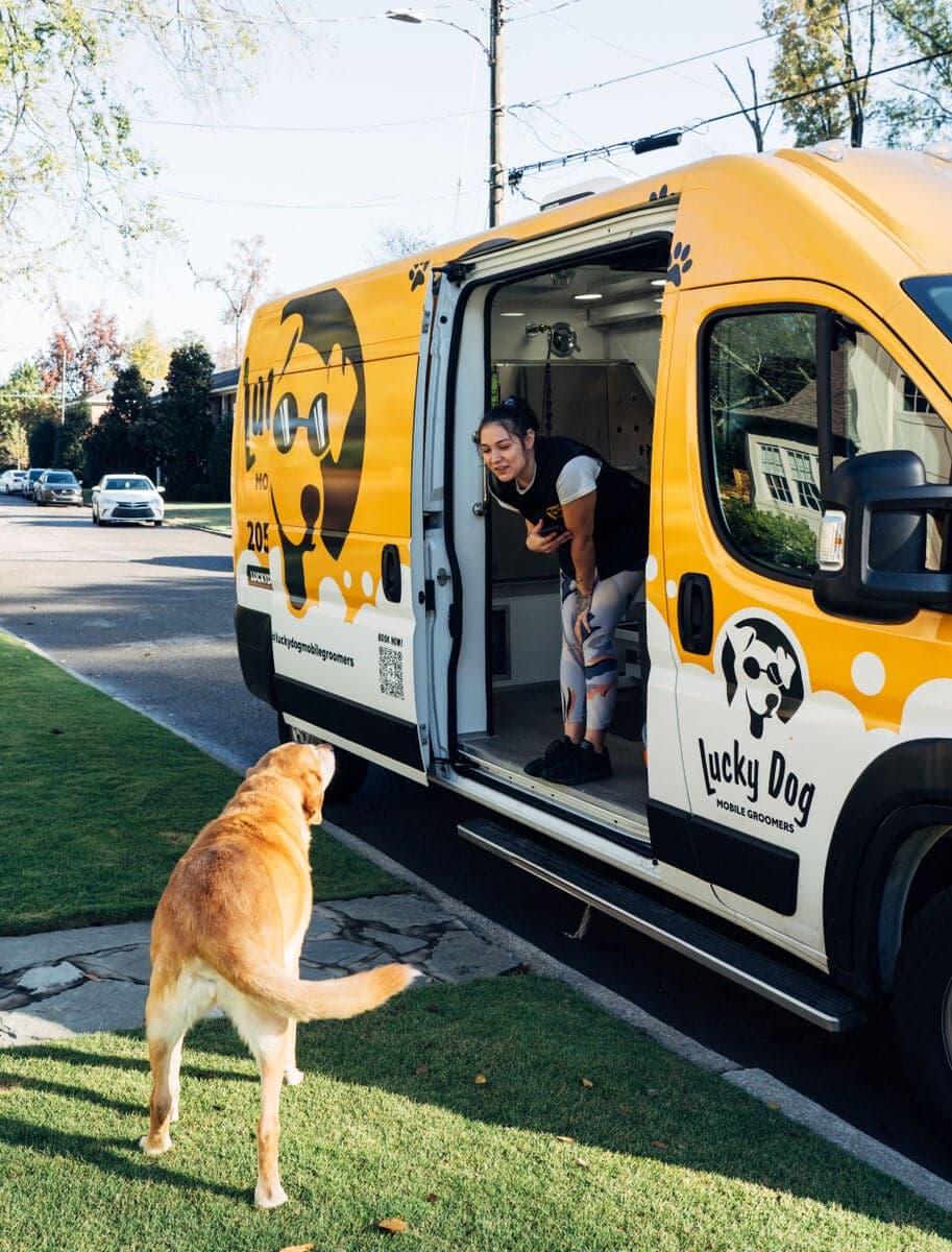 Lucky Dog Mobile Groomers expands to North Texas suburbs