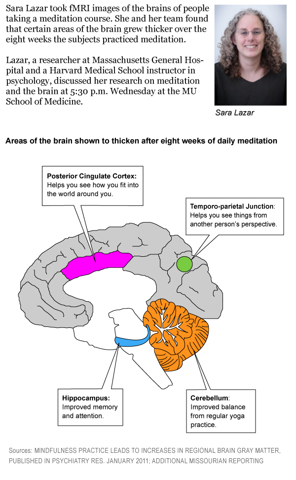 Harvard researchers map brains to tailor mindfulness for anxiety and stress