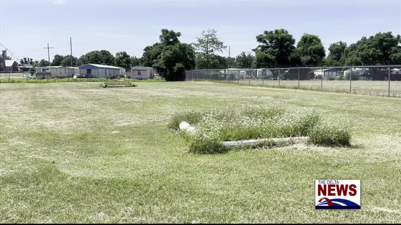 Community volunteers clear overgrown grounds at Cleveland-Bolivar animal shelter